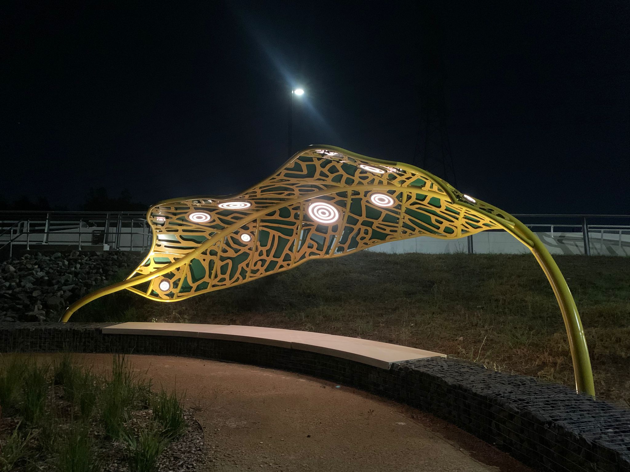 20250924-FORGE-M12-Leaf-Canopies