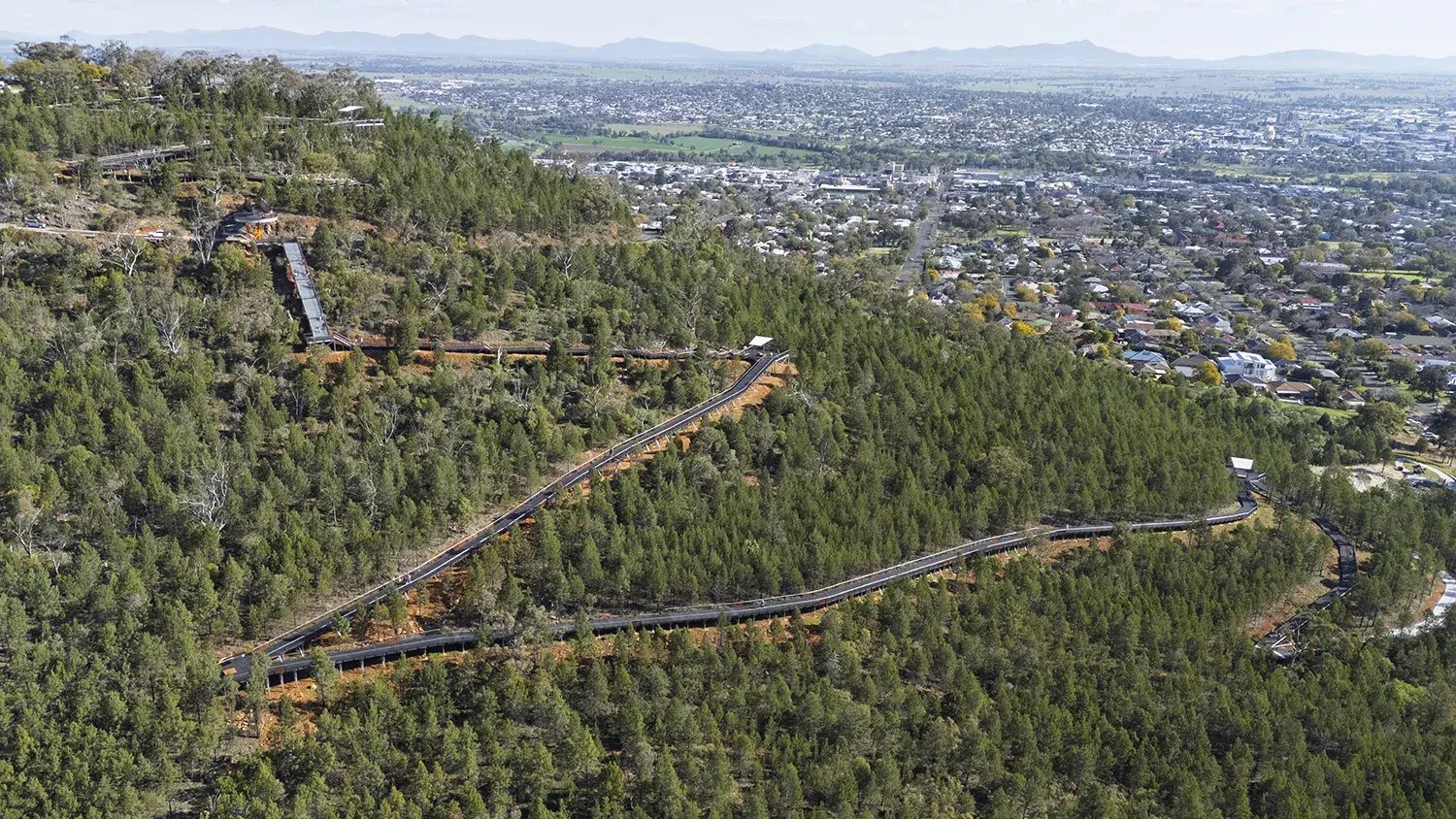 FORGE_Article_Tamworth_Skywalk_02