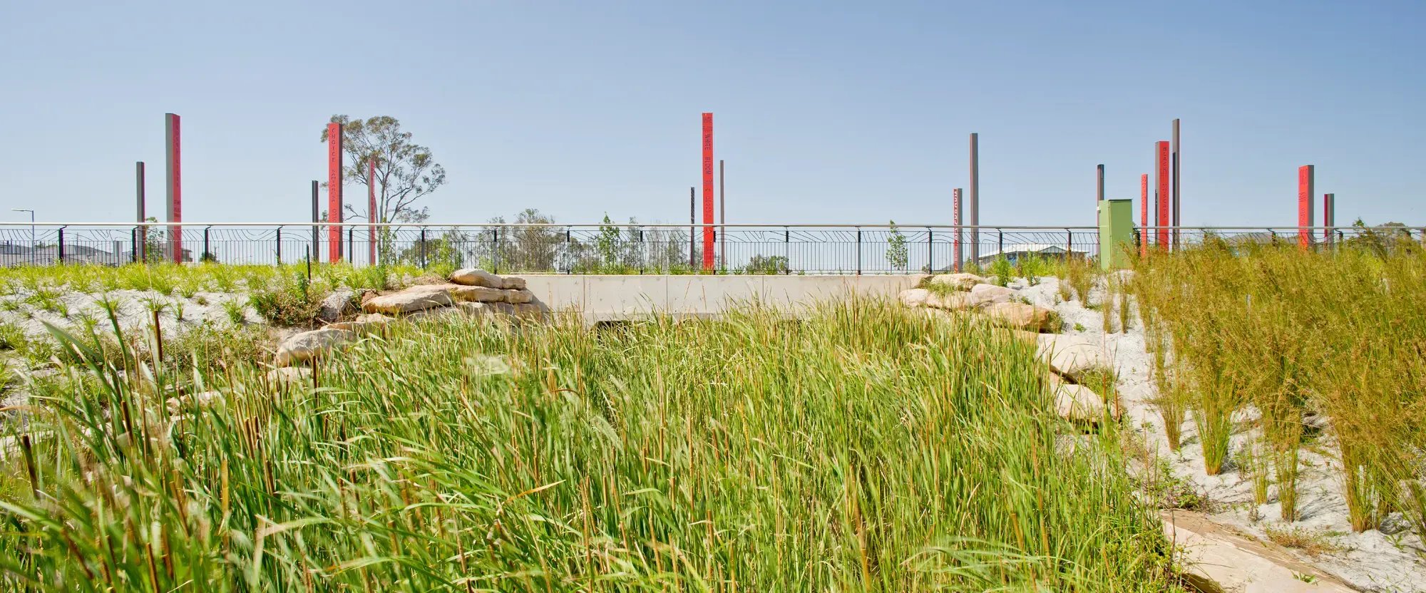 FORGE_Caddens_Rise_Riparian_Corridor_01