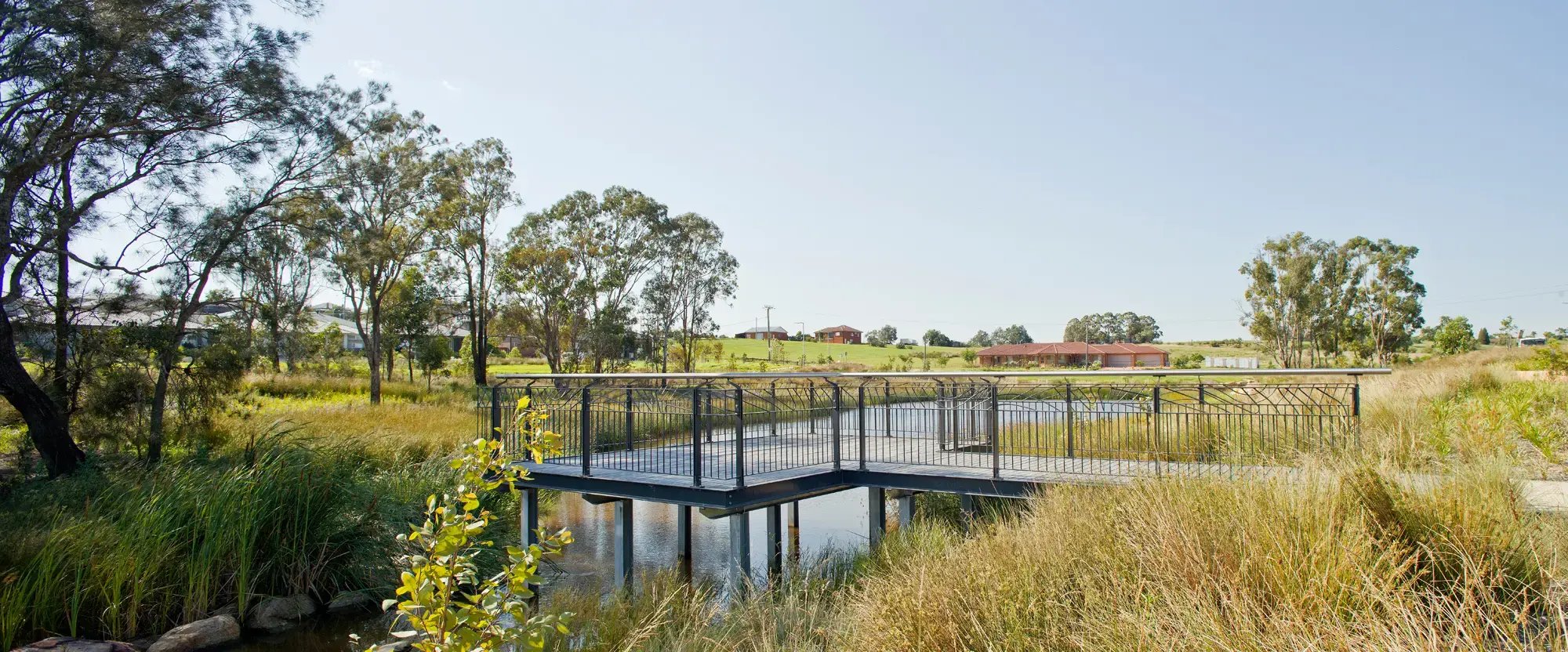 FORGE_Caddens_Rise_Riparian_Corridor_02
