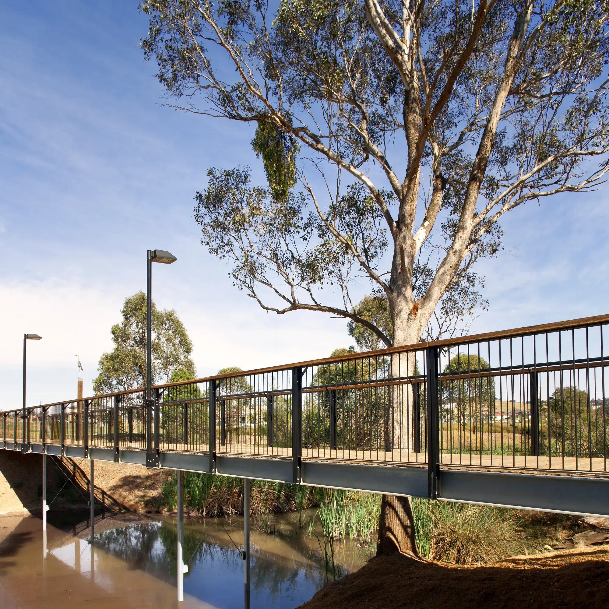 FORGE_Hinchinbrook_Creek_05