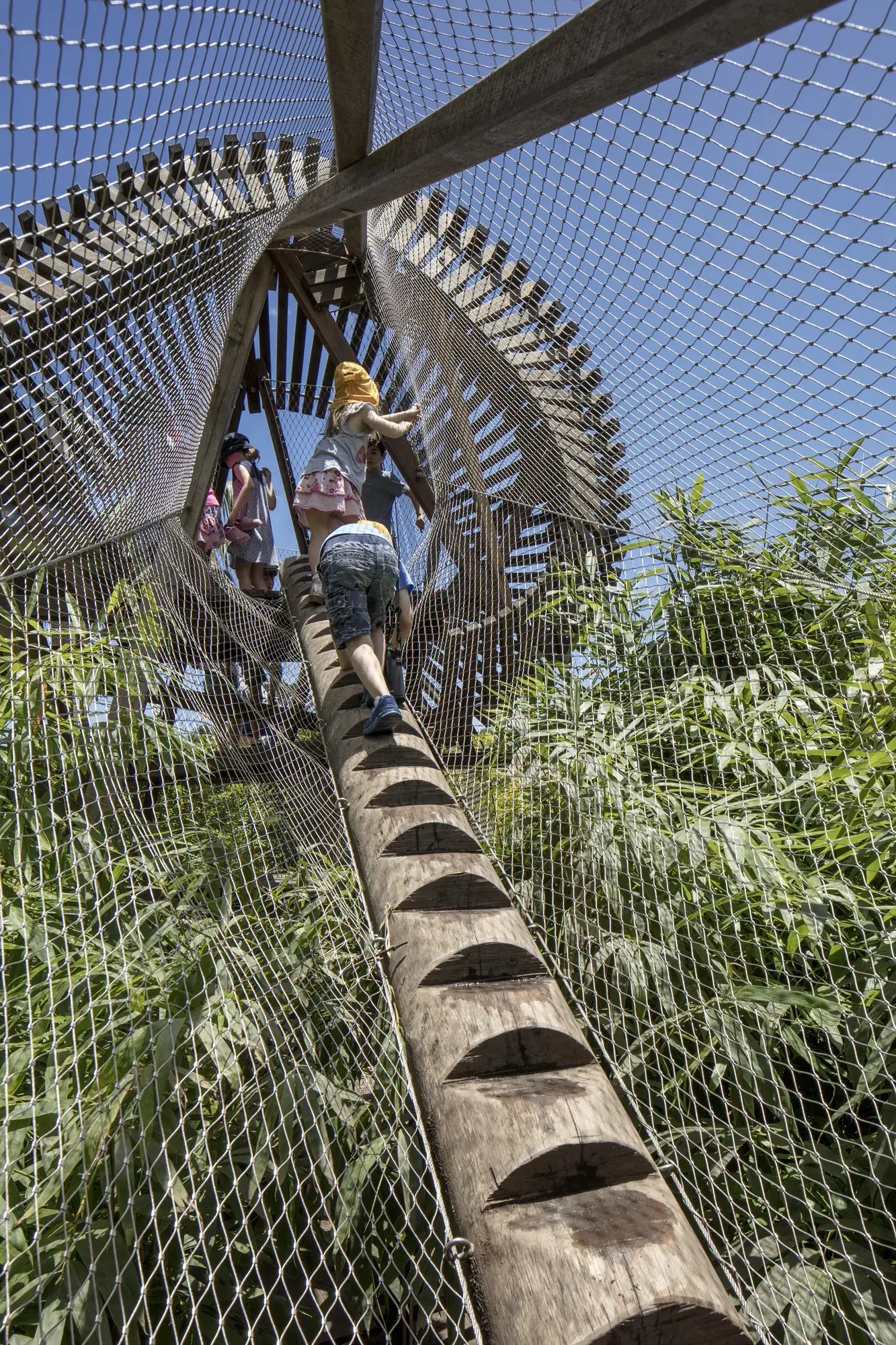 FORGE_Ian_Potter_Wild_Play_Garden_010