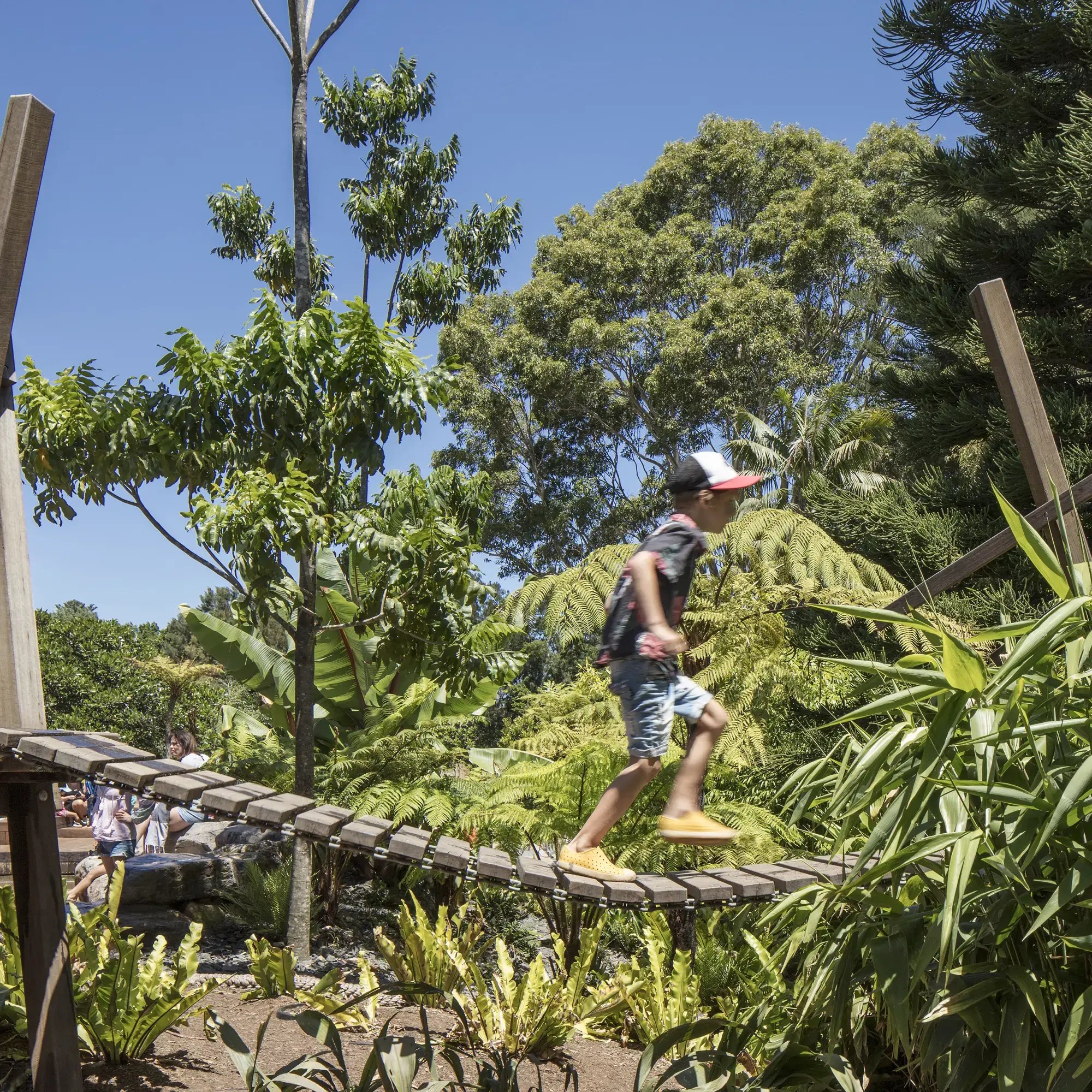 FORGE_Ian_Potter_Wild_Play_Garden_013