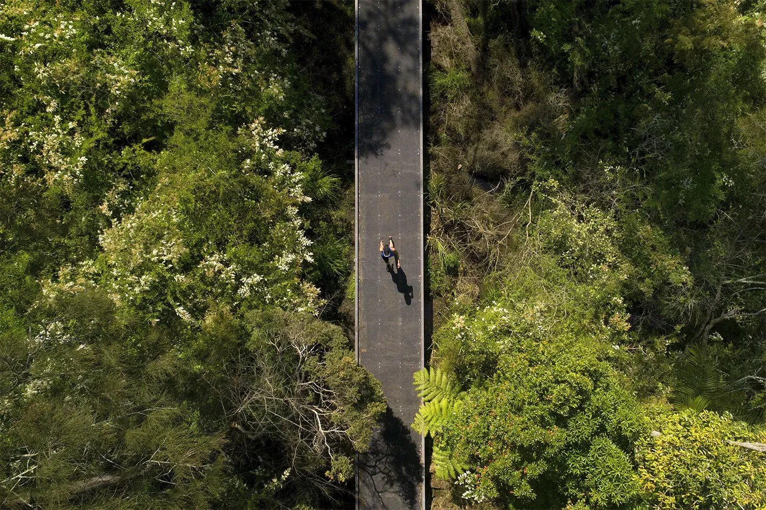 FORGE_Myles_Dunphy_Reserve_Boardwalk