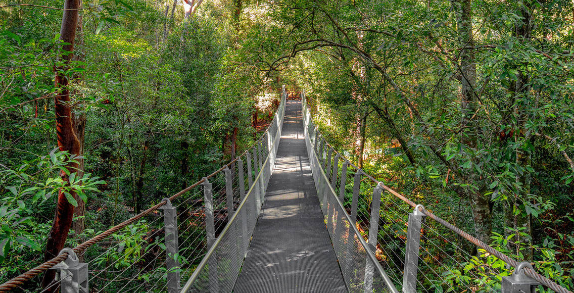 Pyes Creek Swing Bridge