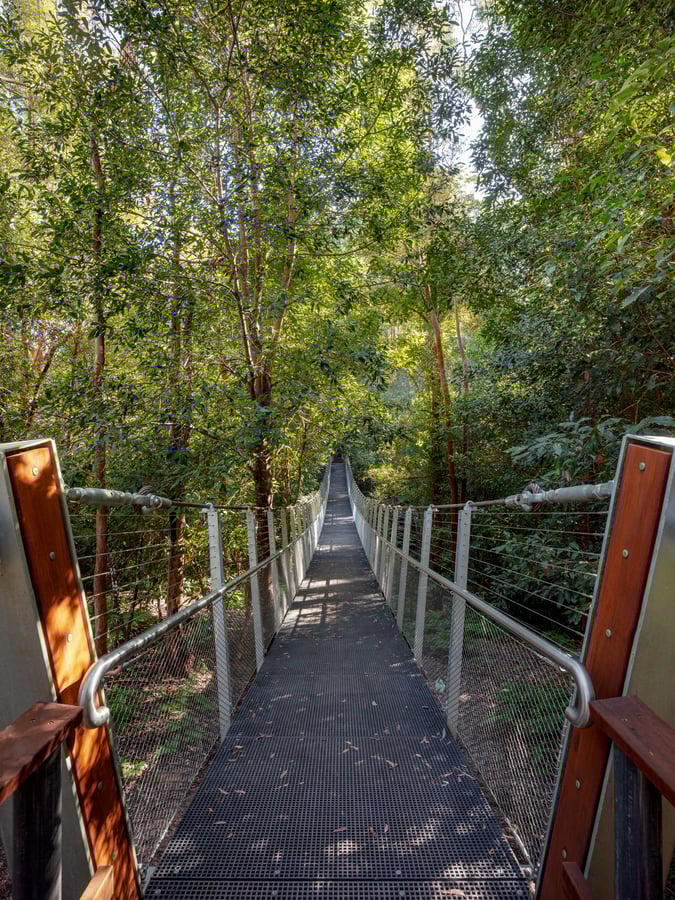 FORGE_Pyes_Creek_Swing_Bridge_21