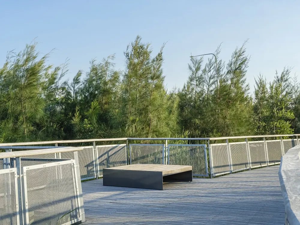 FORGE_Rozelle_Parklands_Boardwalk_17