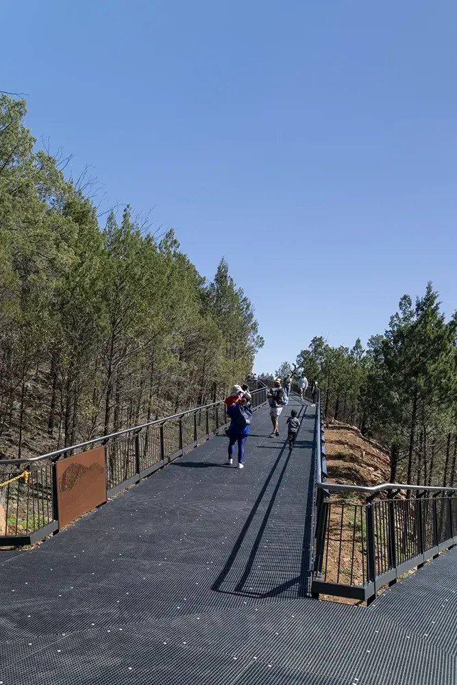 FORGE_Tamworth_Skywalk_21