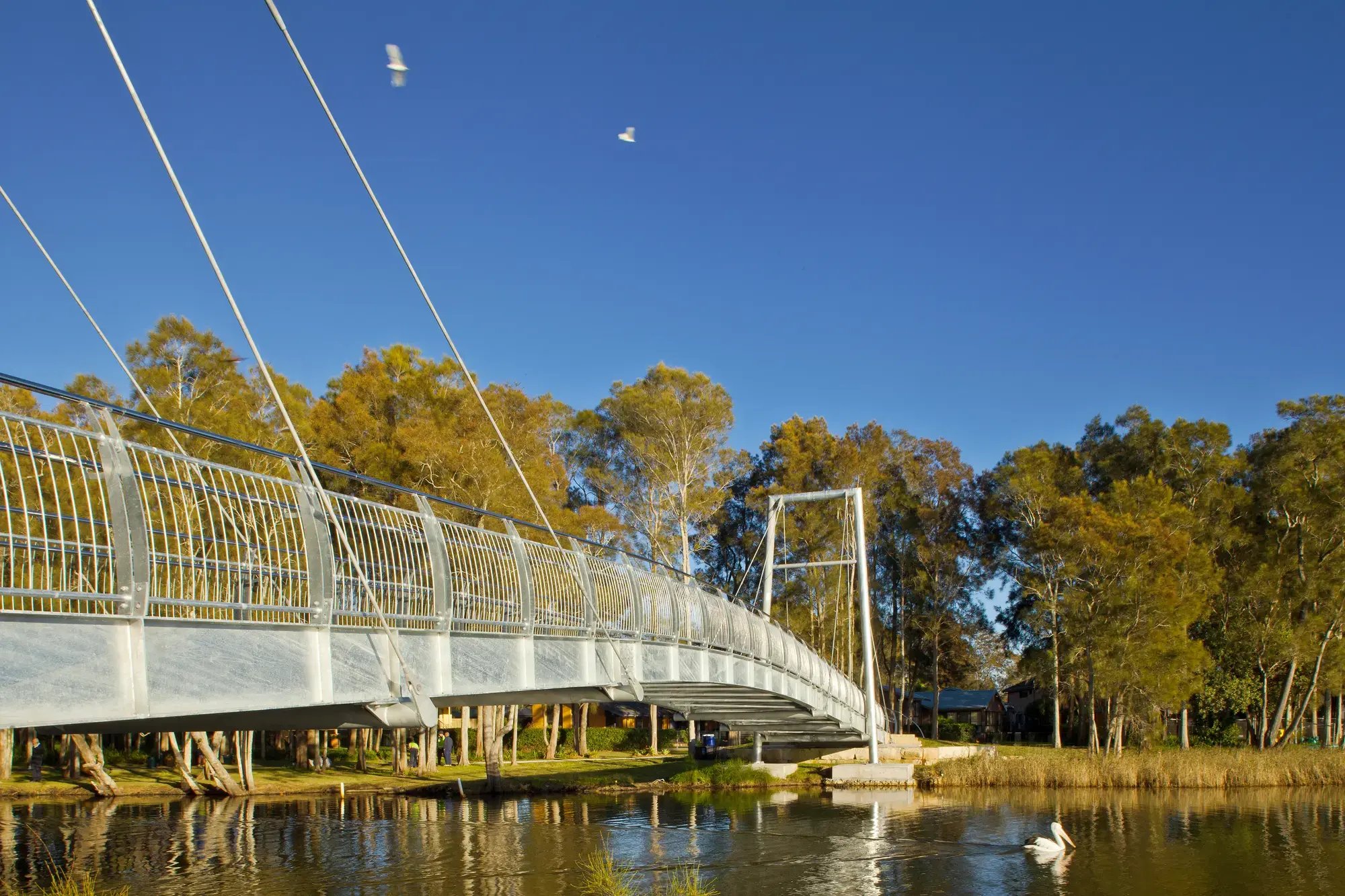 FORGE_Tumbi_Umbi_Creek_Cycleway_06
