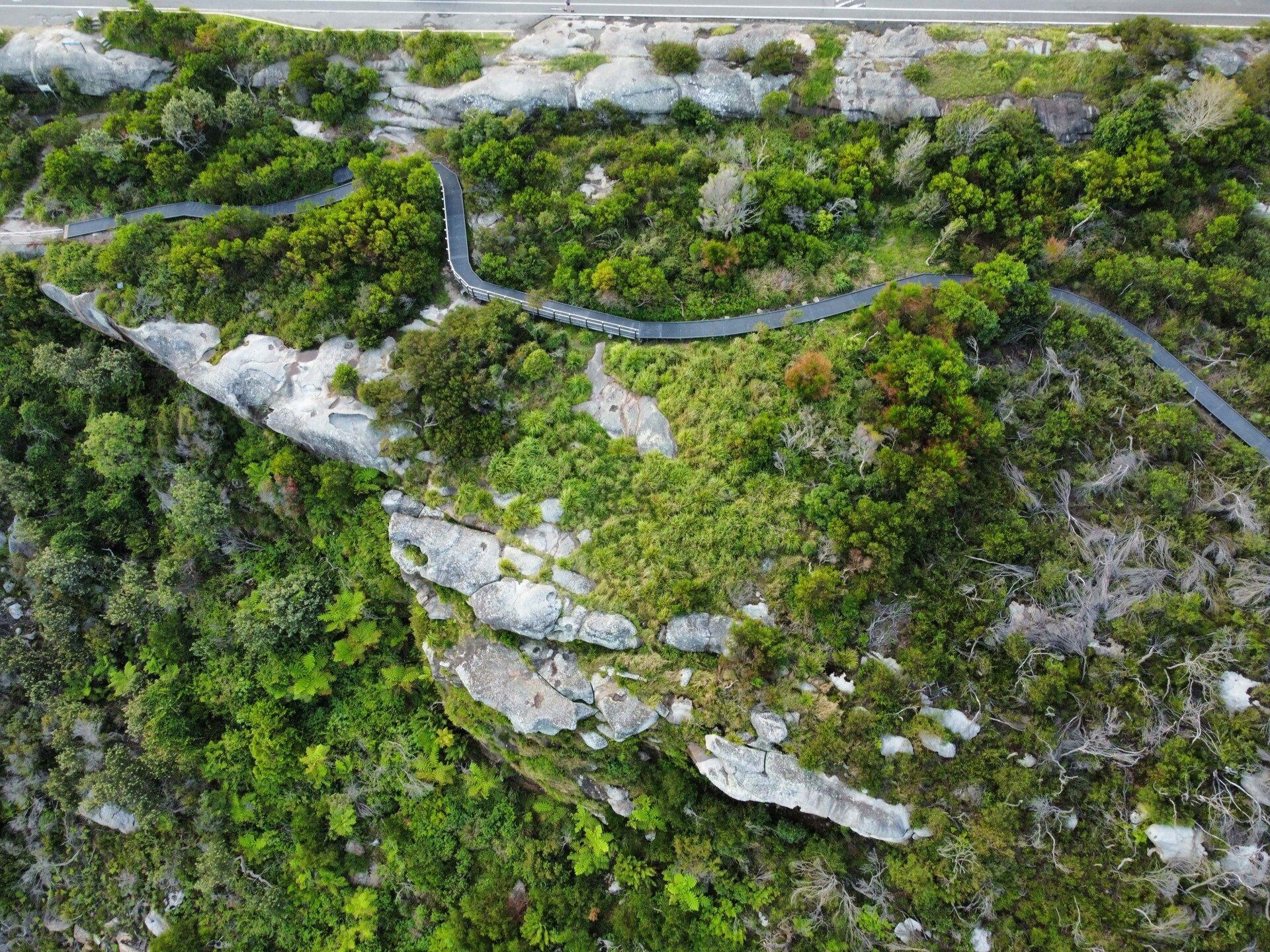 Dobroyd Head Walking Track