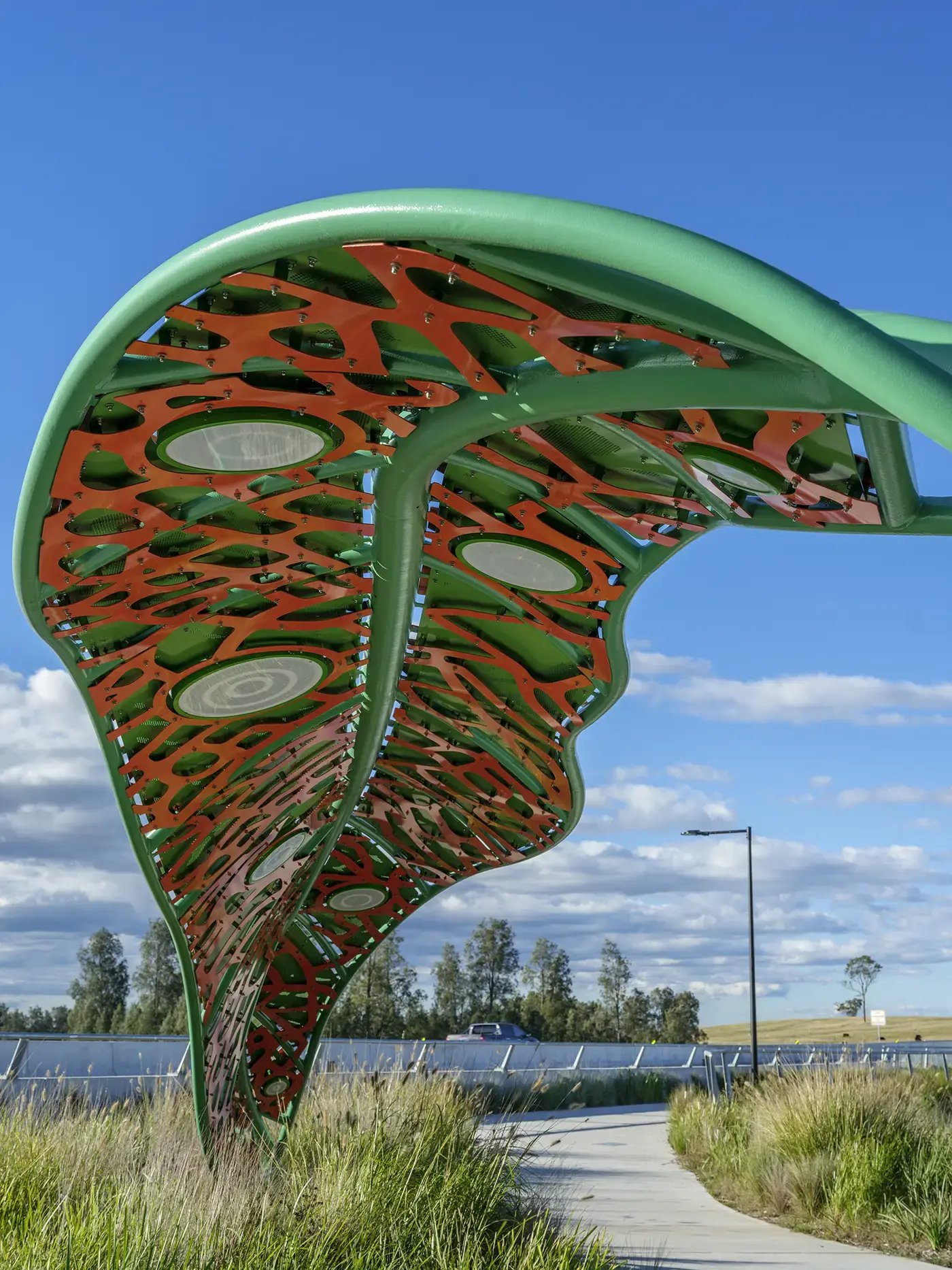 M12_Eucalypt_Canopies_02