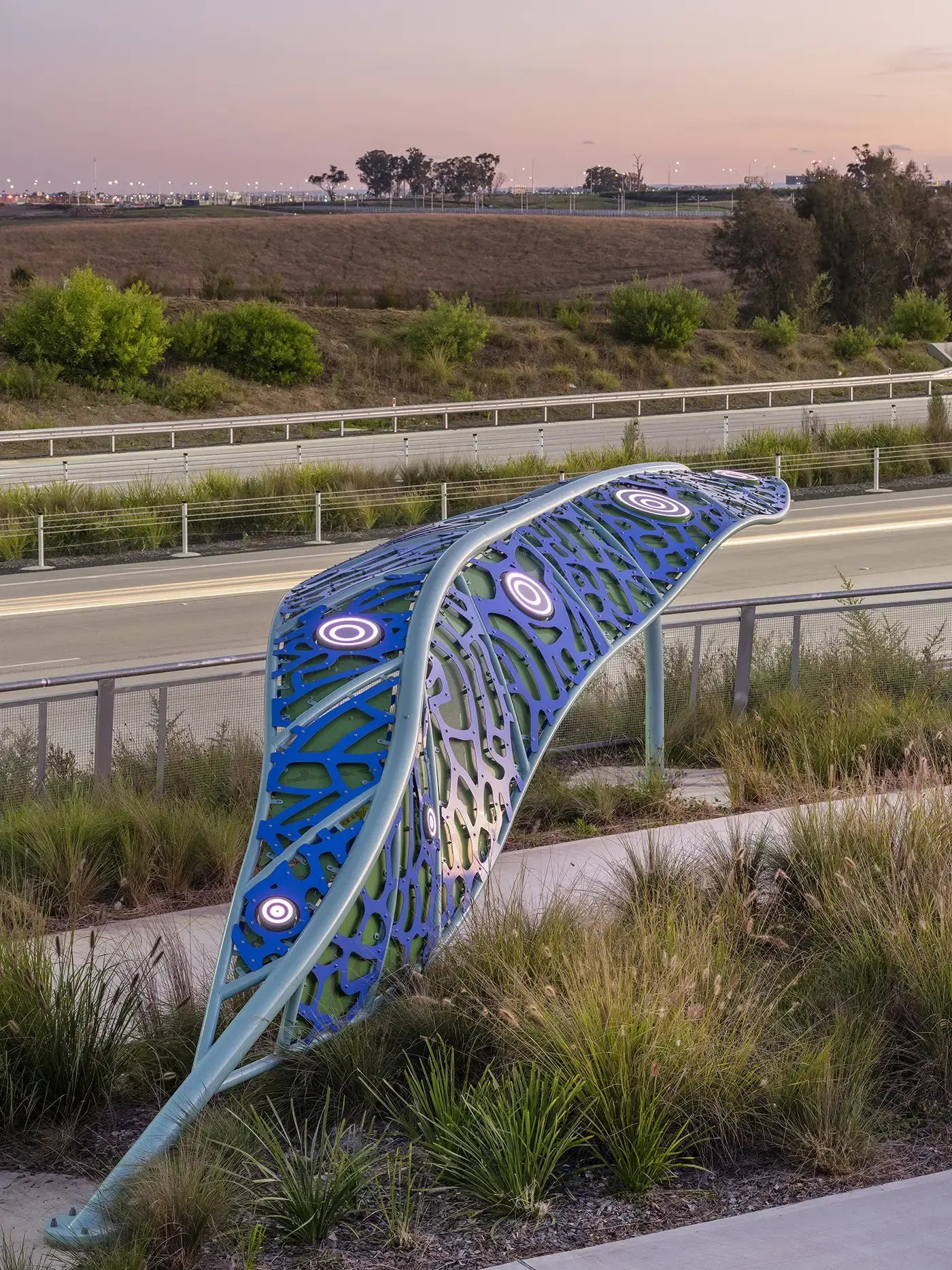 M12_Eucalypt_Canopies_22