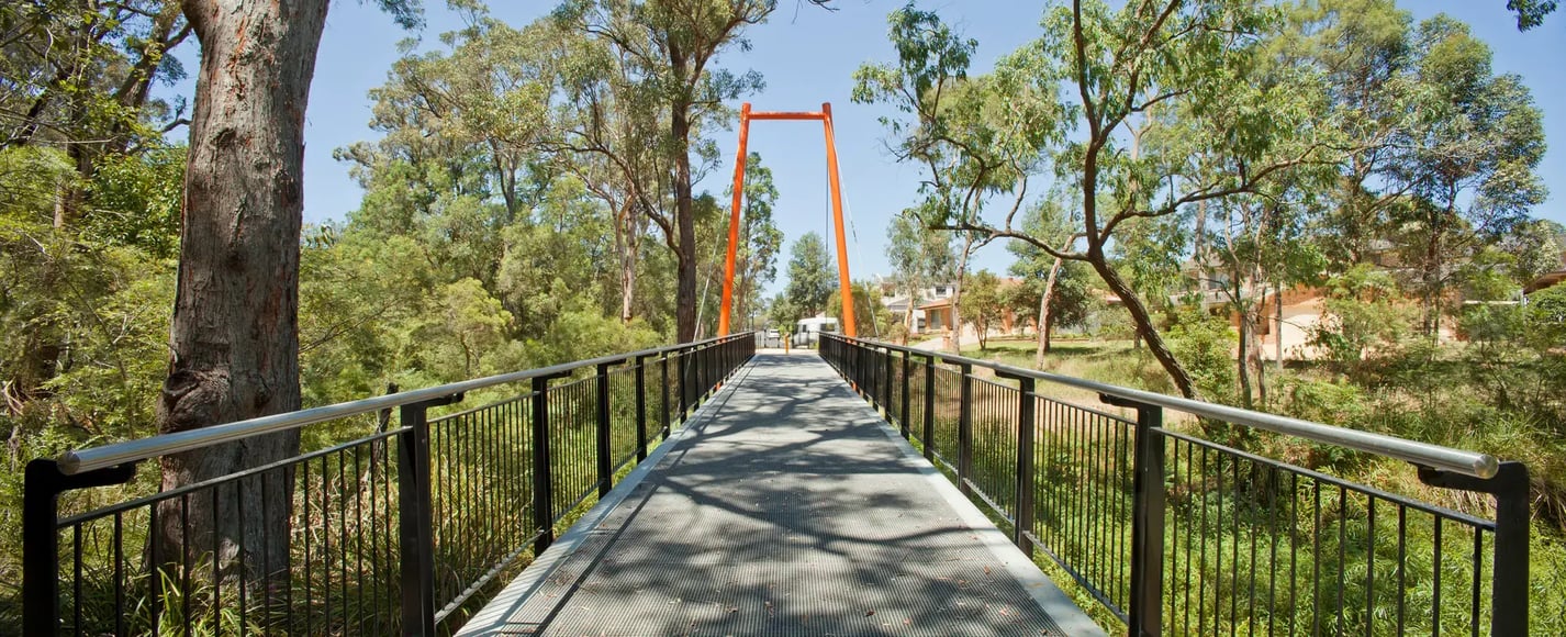 Smalls Creek White Gum