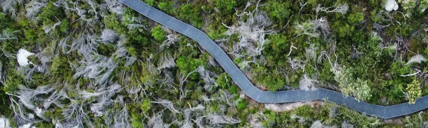 forge-nsw-dobroyd-head-walking-track