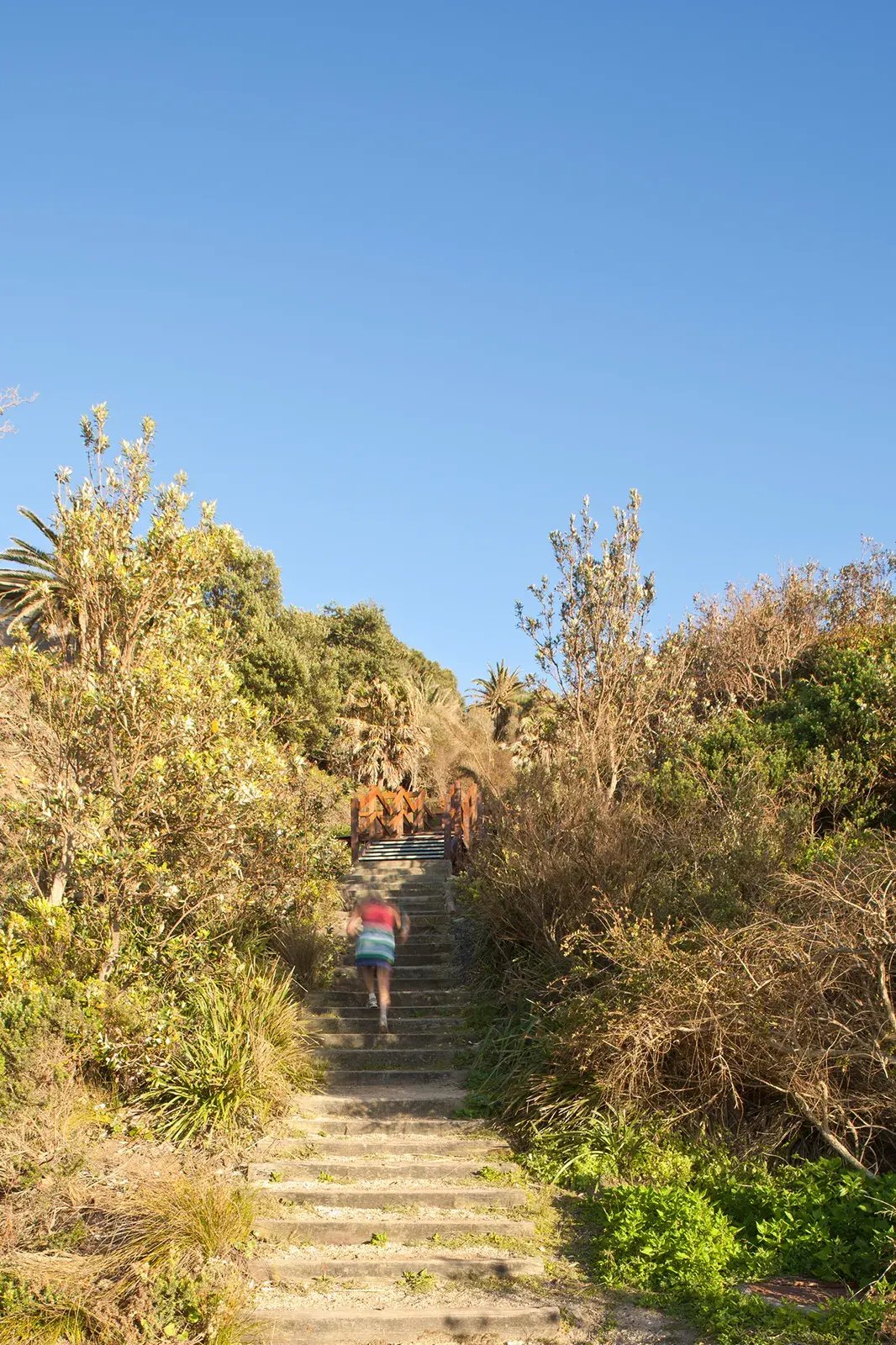 FORGE-Bilgola-Beach-004