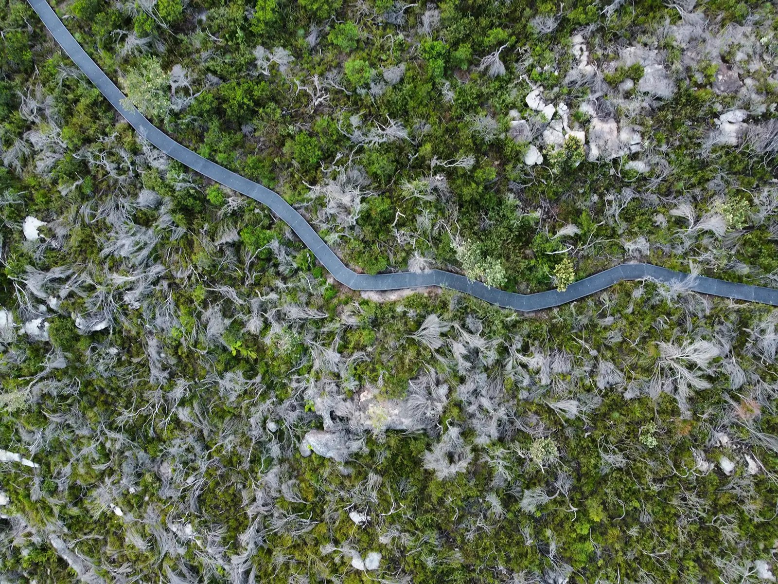 FORGE-Dobroyd-Head-046