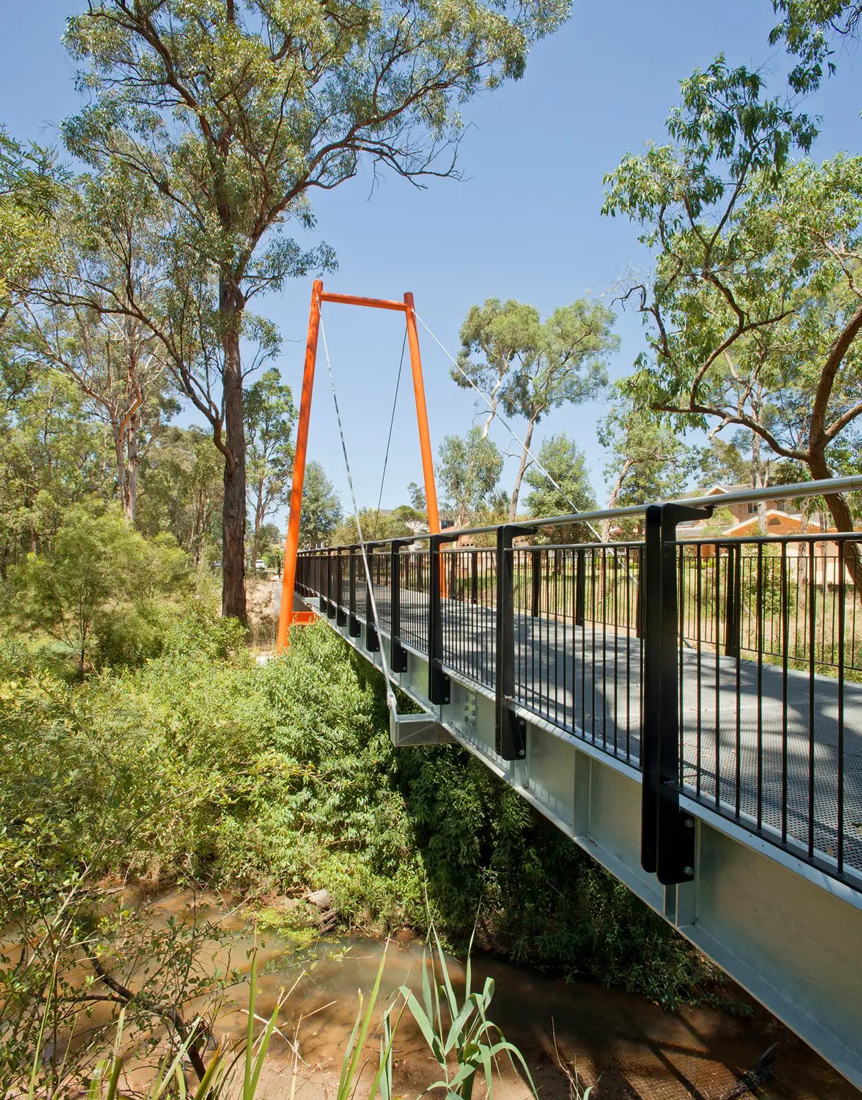 FORGE-Smalls-Creek-White-Gum-004