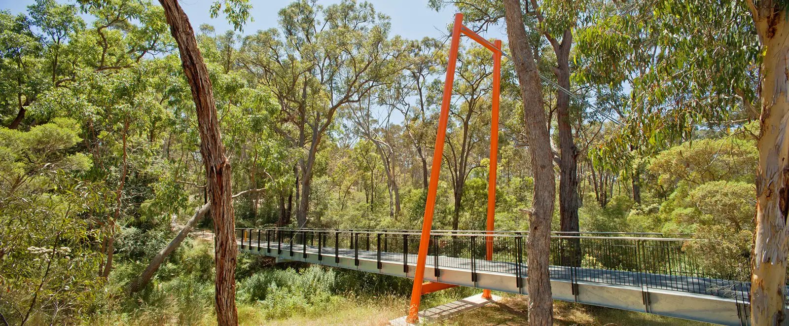 FORGE-Smalls-Creek-White-Gum-011
