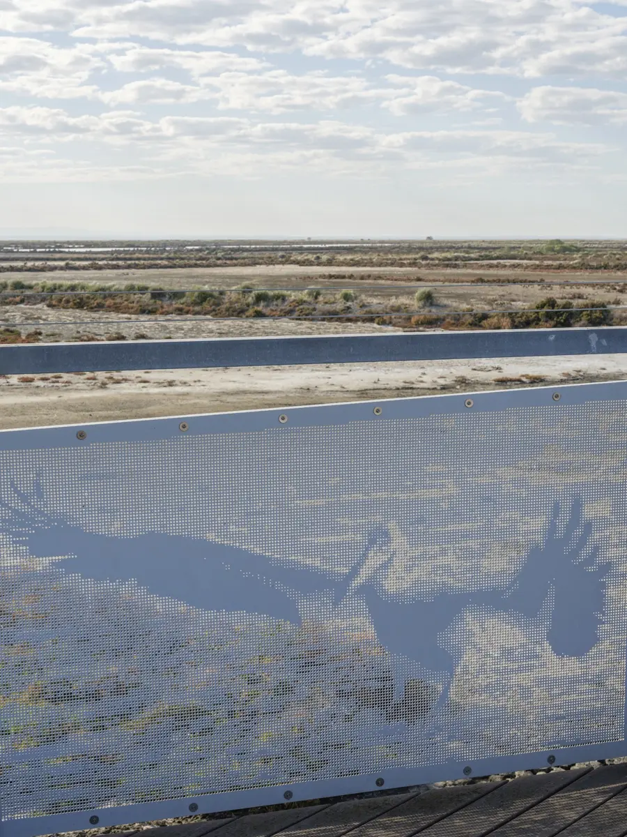 FORGE-Bay-Trail Extension-05