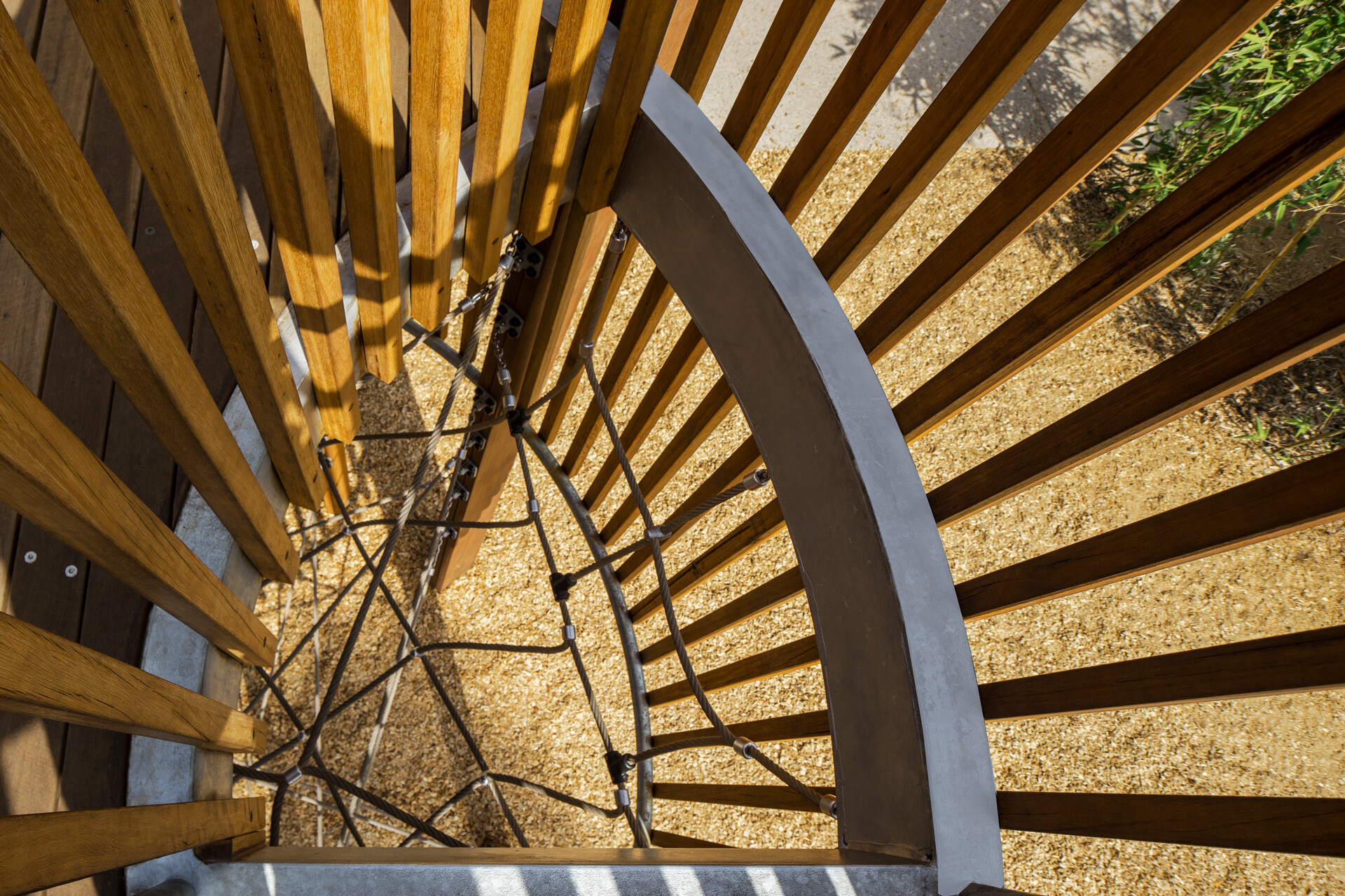 FORGE_Adelaide_Zoo_03