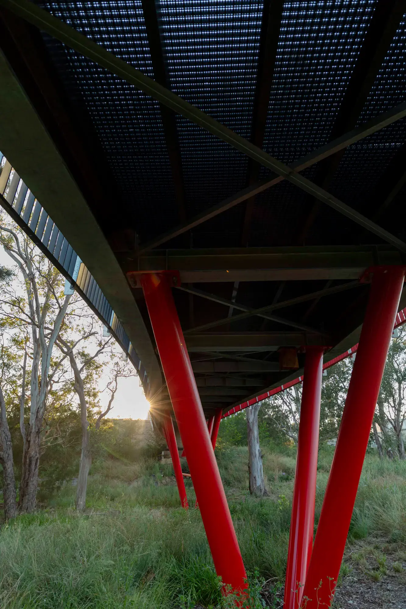 FORGE_Blacktown_Sportsground_05