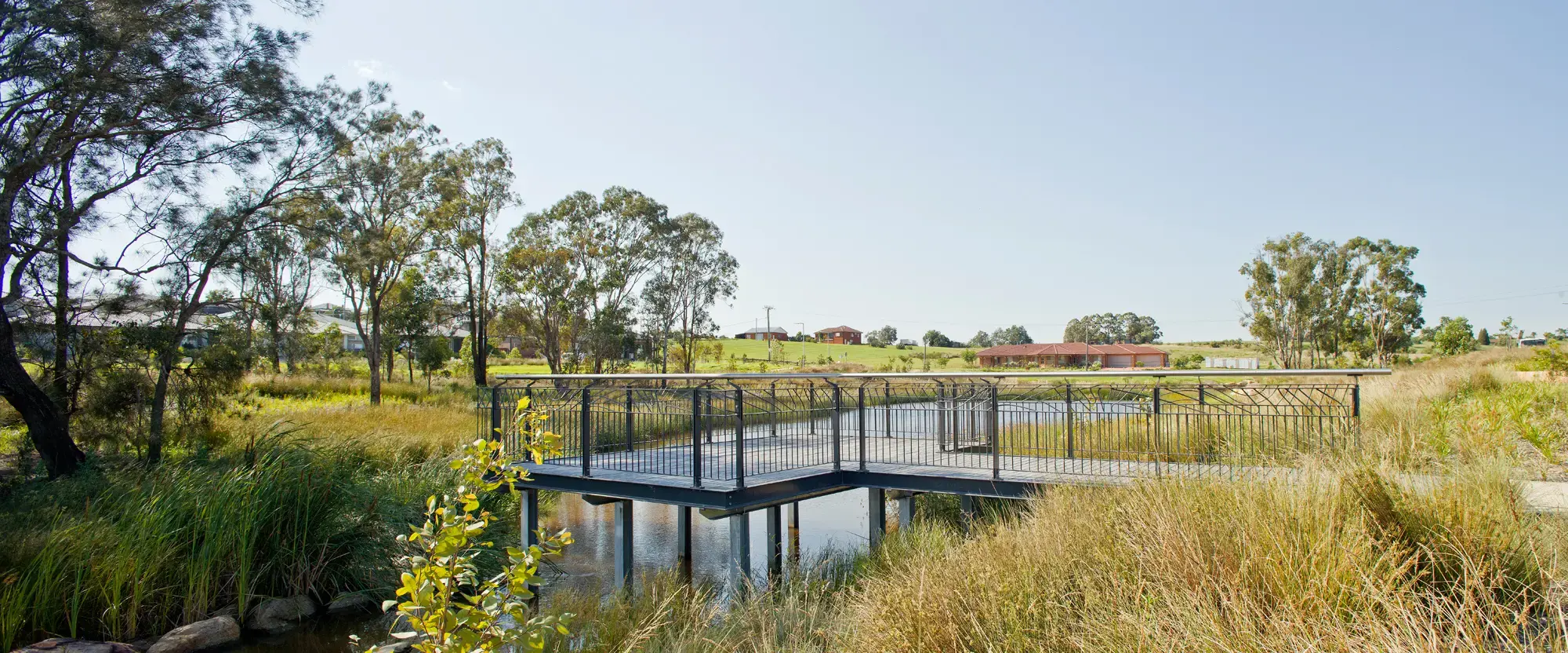 FORGE_Caddens_Rise_Riparian_Corridor_02