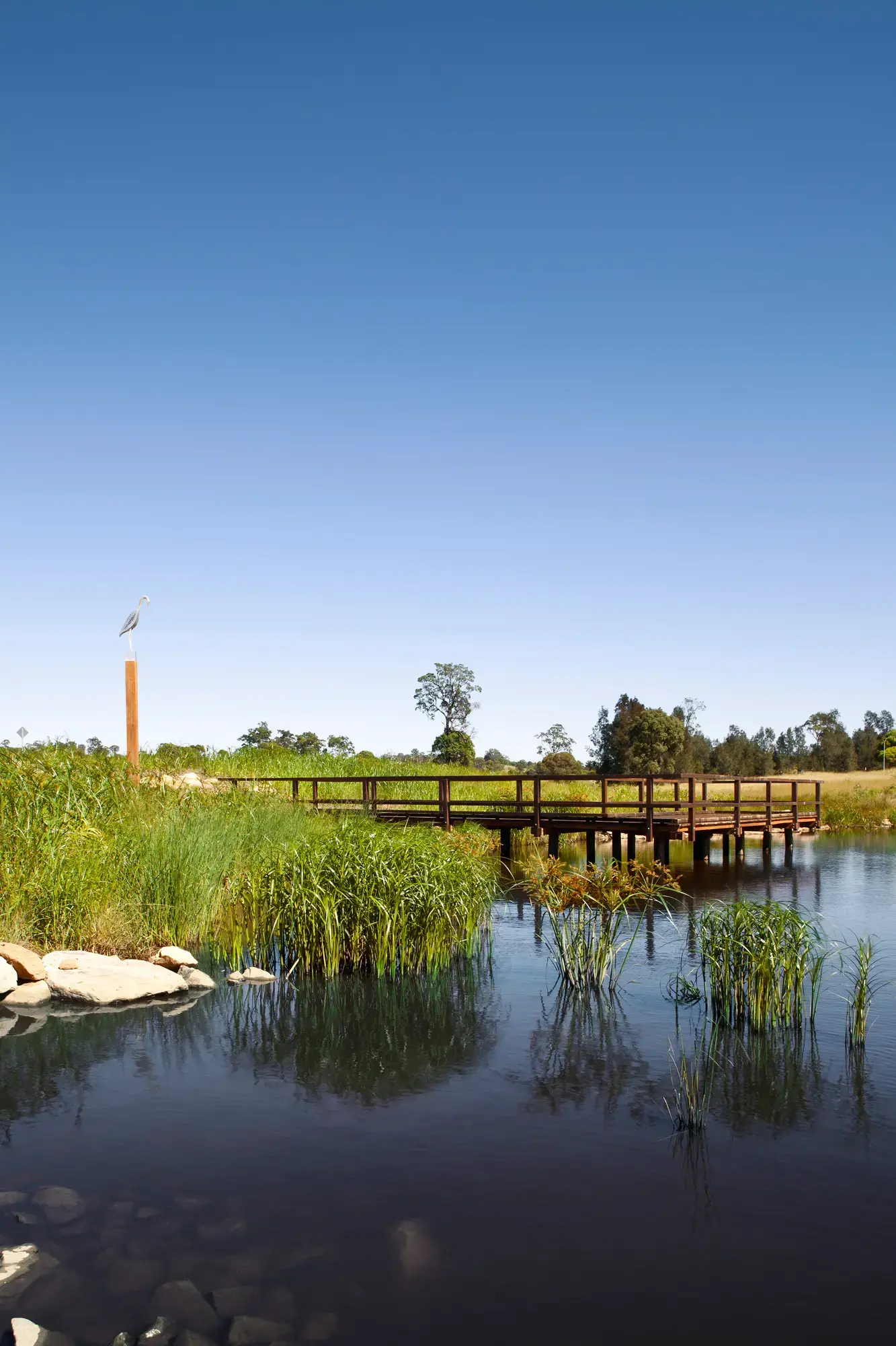 FORGE_Hinchinbrook_Creek_02