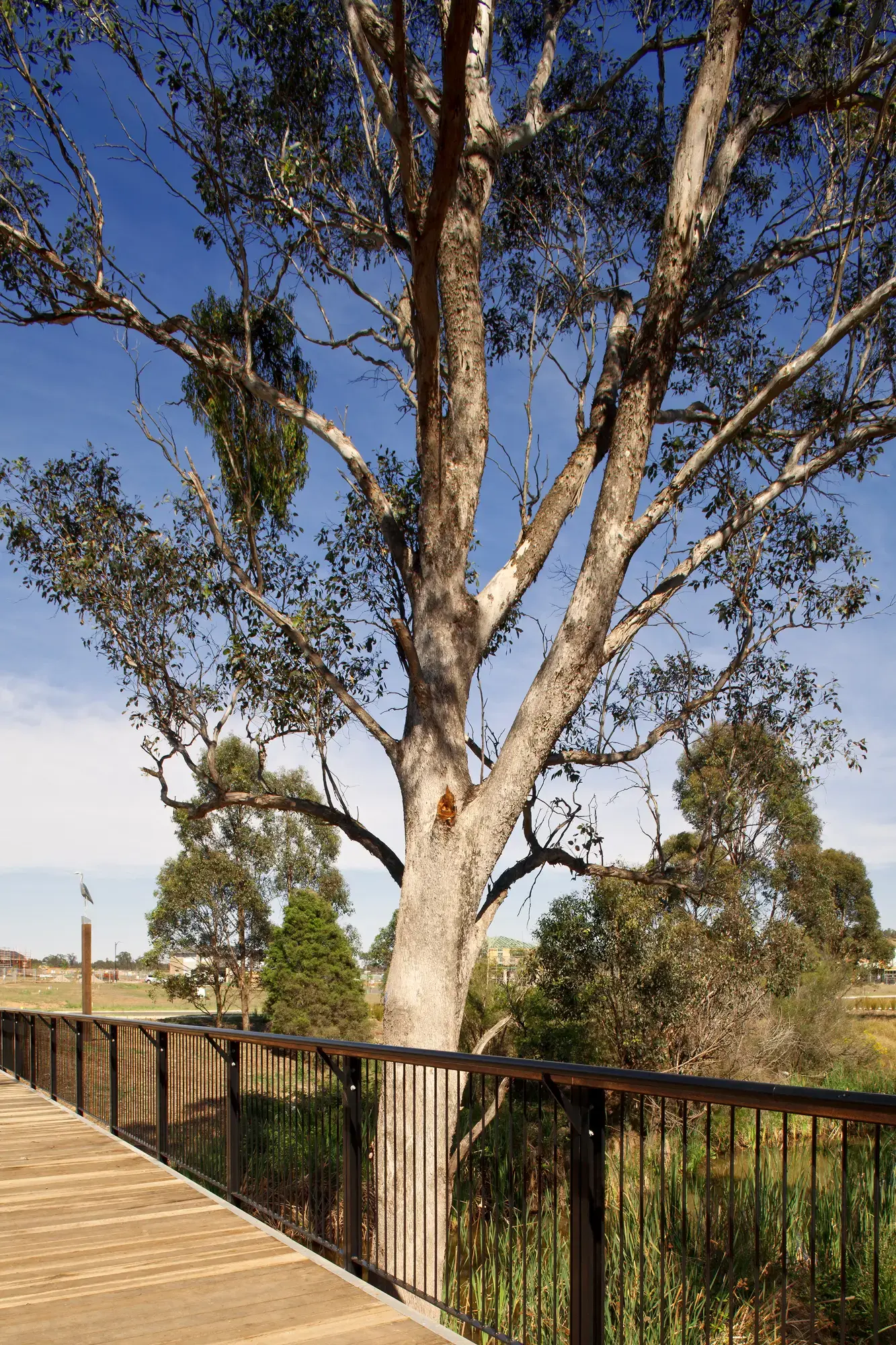 FORGE_Hinchinbrook_Creek_04