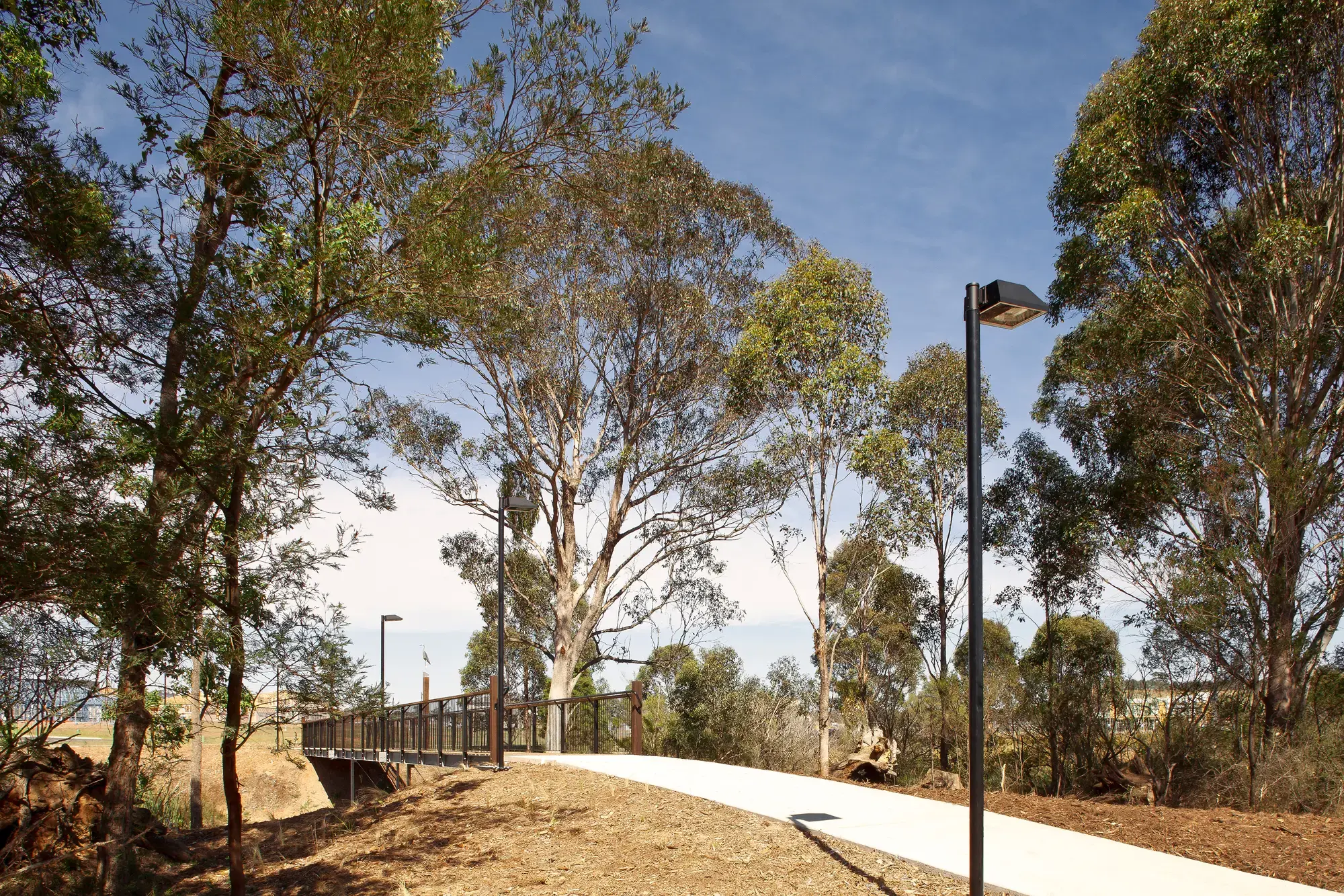 FORGE_Hinchinbrook_Creek_06-1