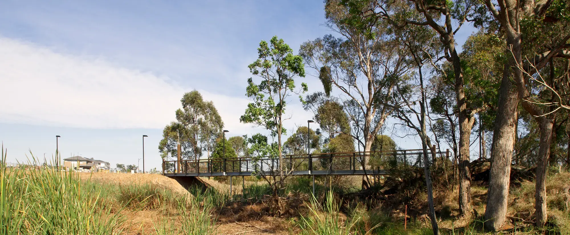 FORGE_Hinchinbrook_Creek_07