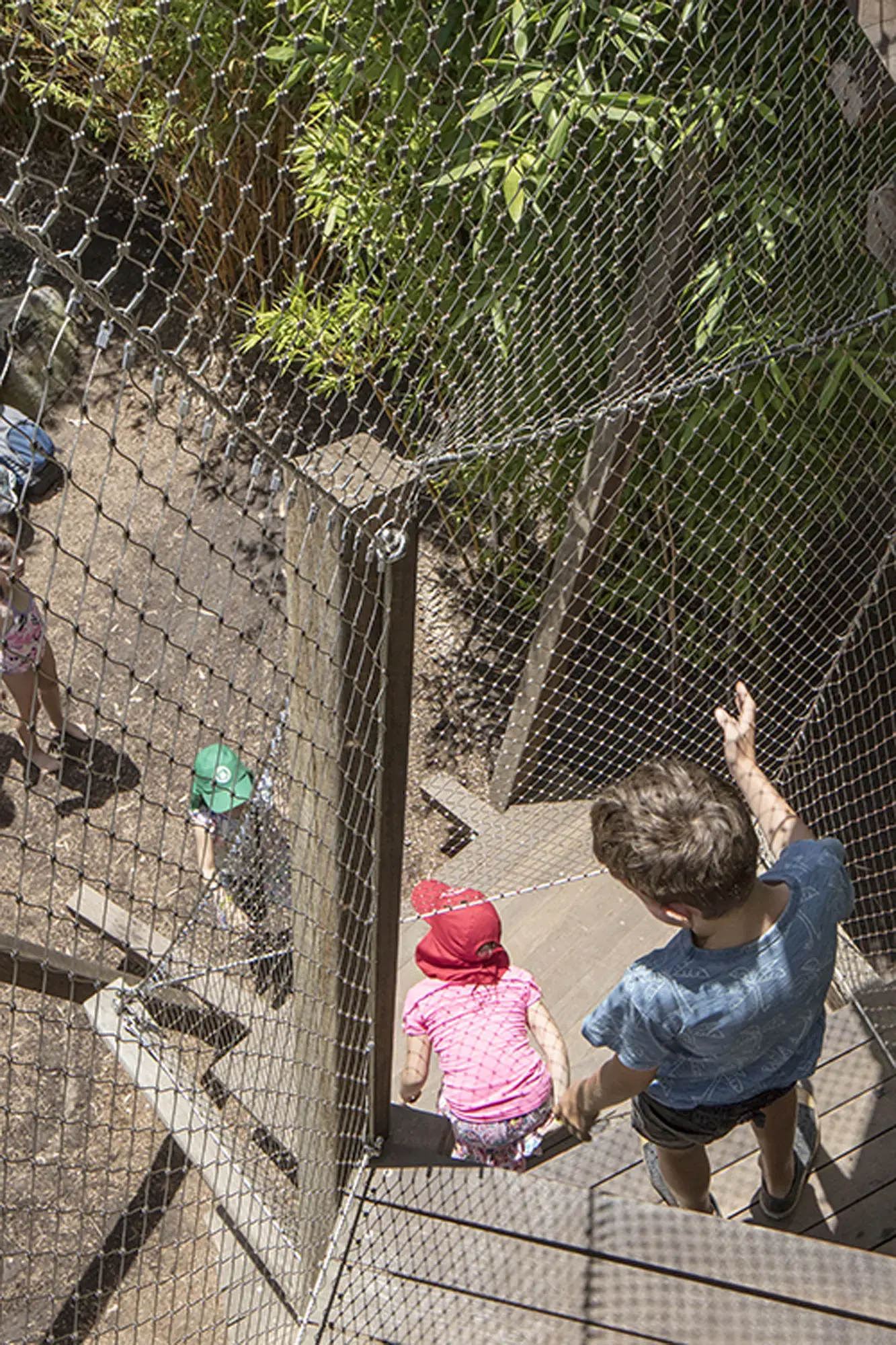 FORGE_Ian_Potter_Wild_Play_Garden_008