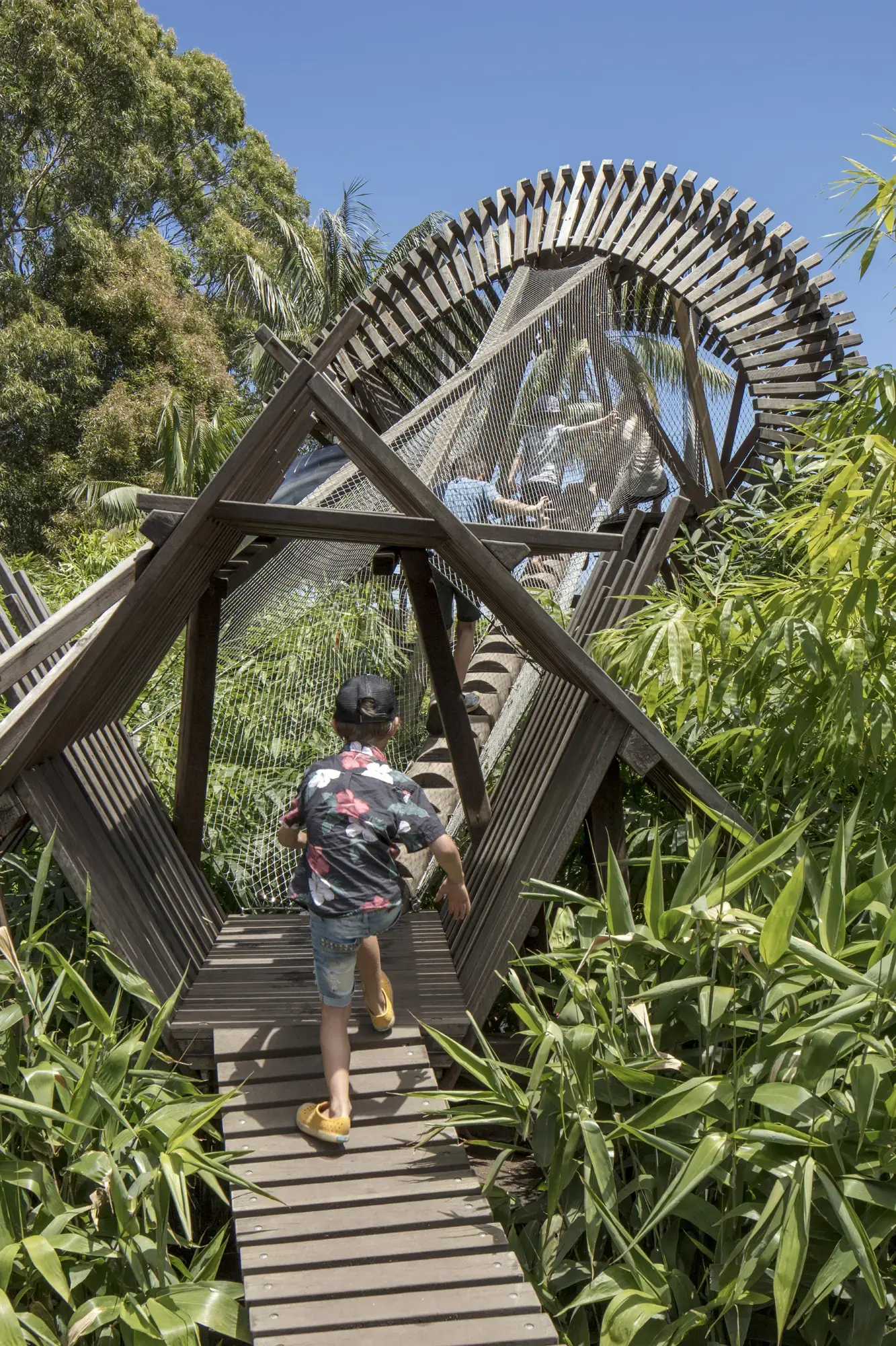 FORGE_Ian_Potter_Wild_Play_Garden_009