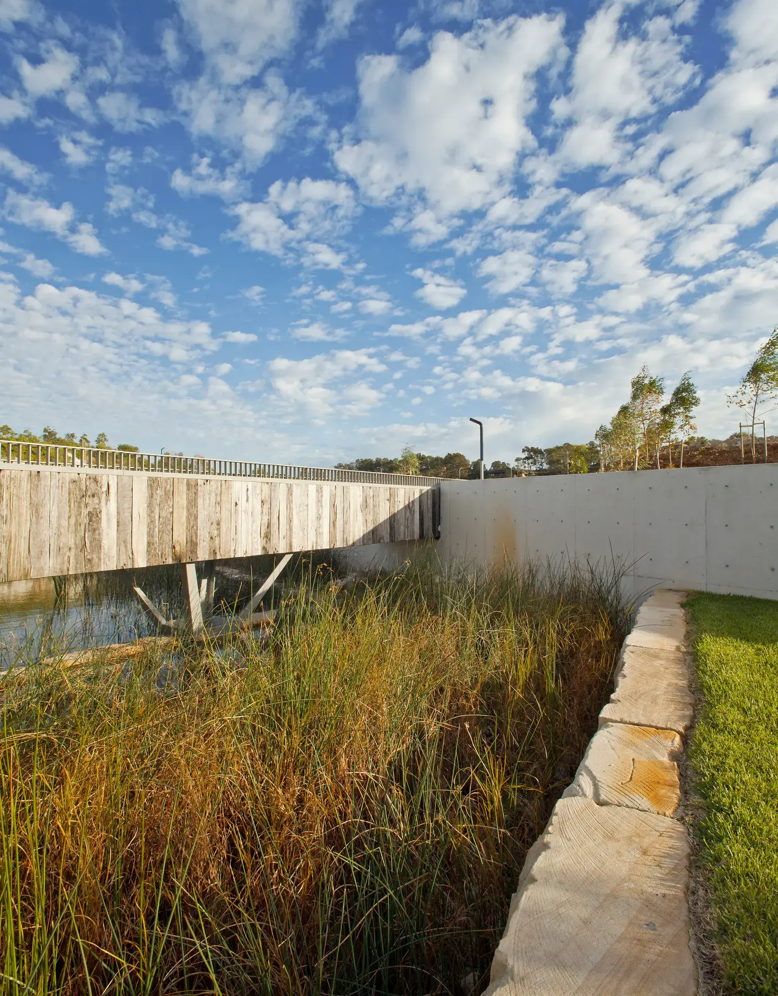 FORGE_Little_Bay_Cove_03