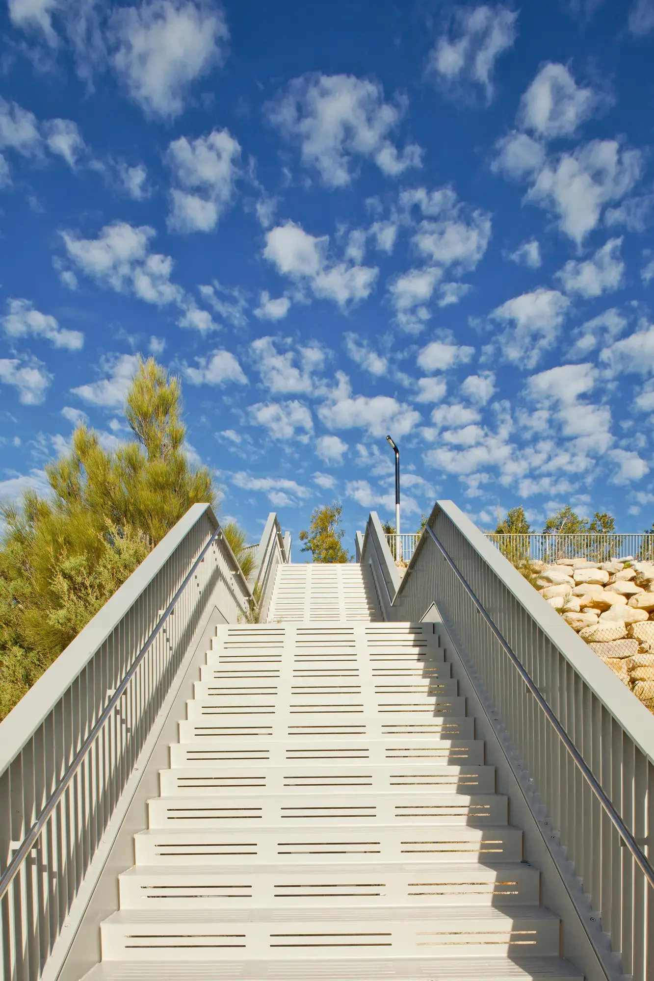 FORGE_Little_Bay_Cove_06