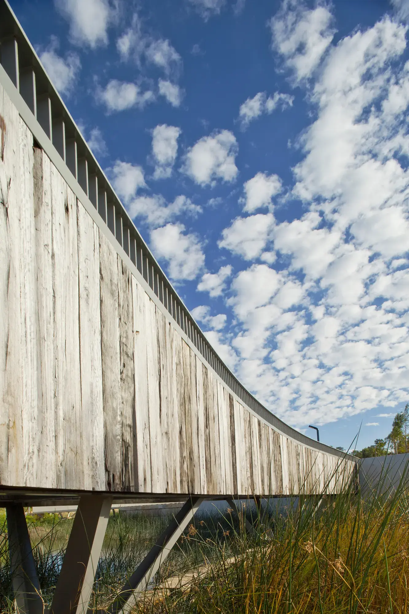 FORGE_Little_Bay_Cove_08