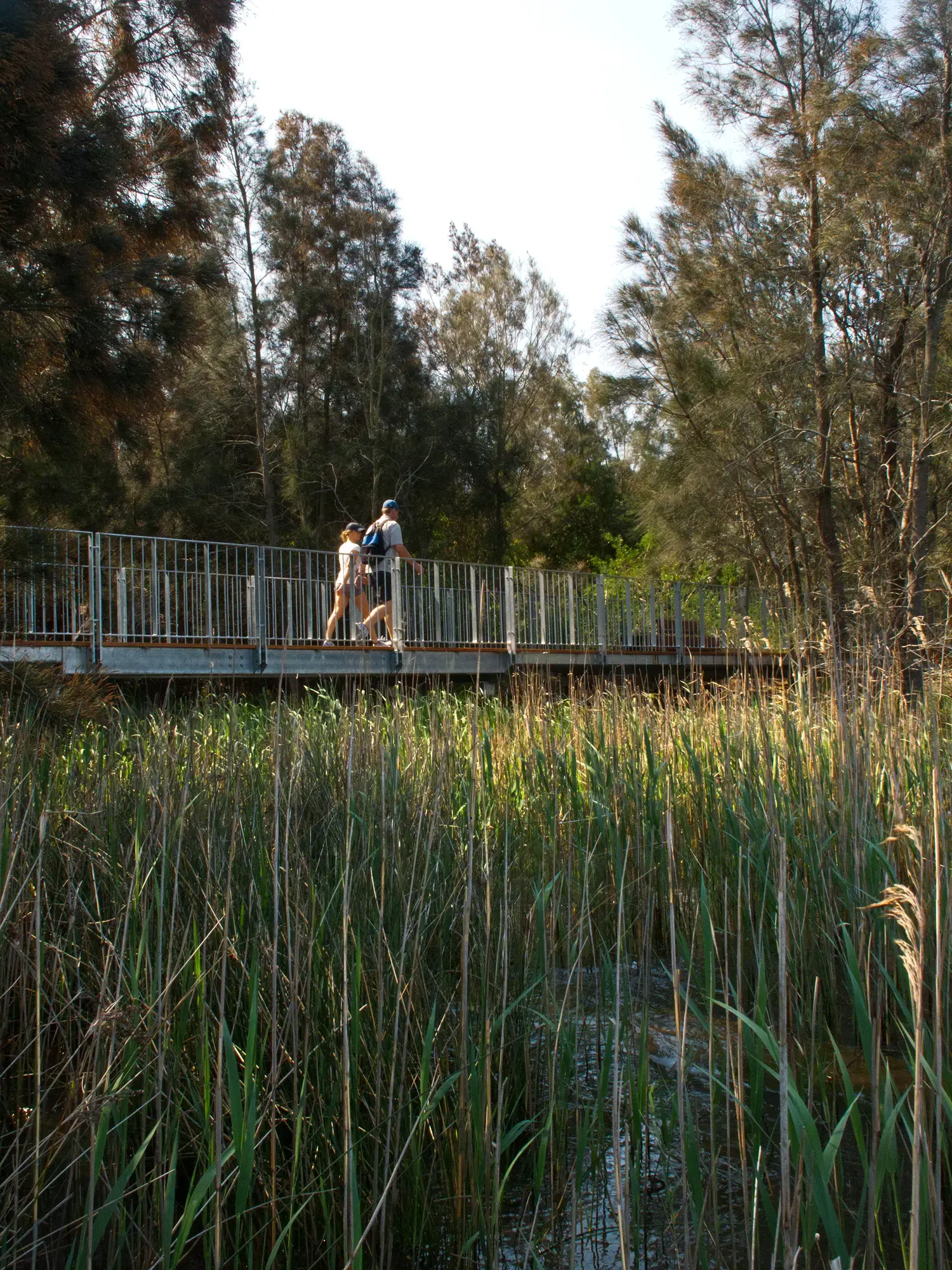 FORGE_Narrabeen_Lagoon_02