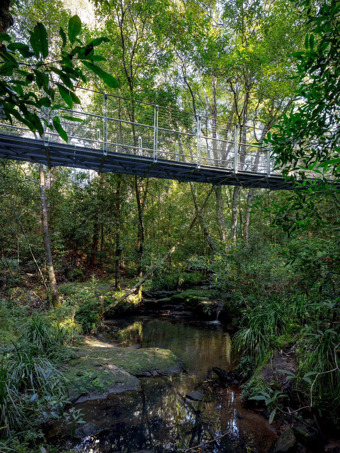 FORGE_Pyes_Creek_Swing_Bridge_04