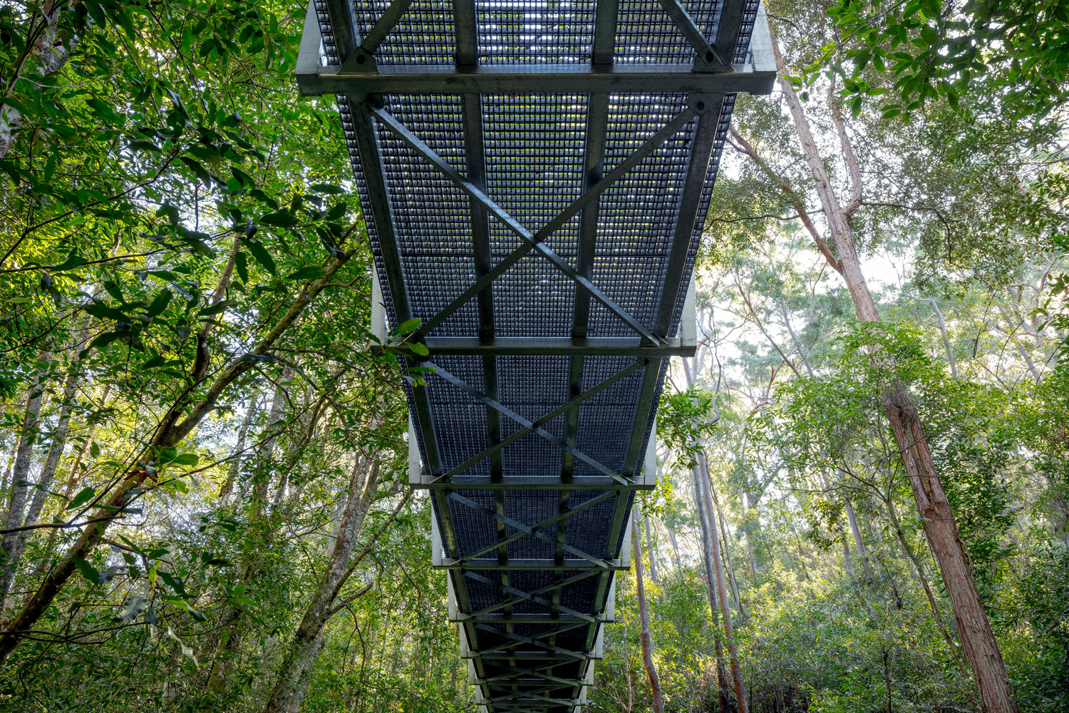 FORGE_Pyes_Creek_Swing_Bridge_24