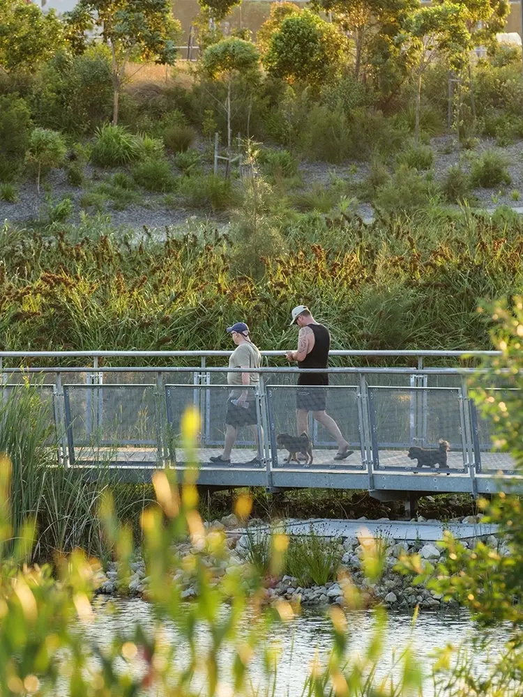 FORGE_Rozelle_Parklands_Boardwalk_16-1