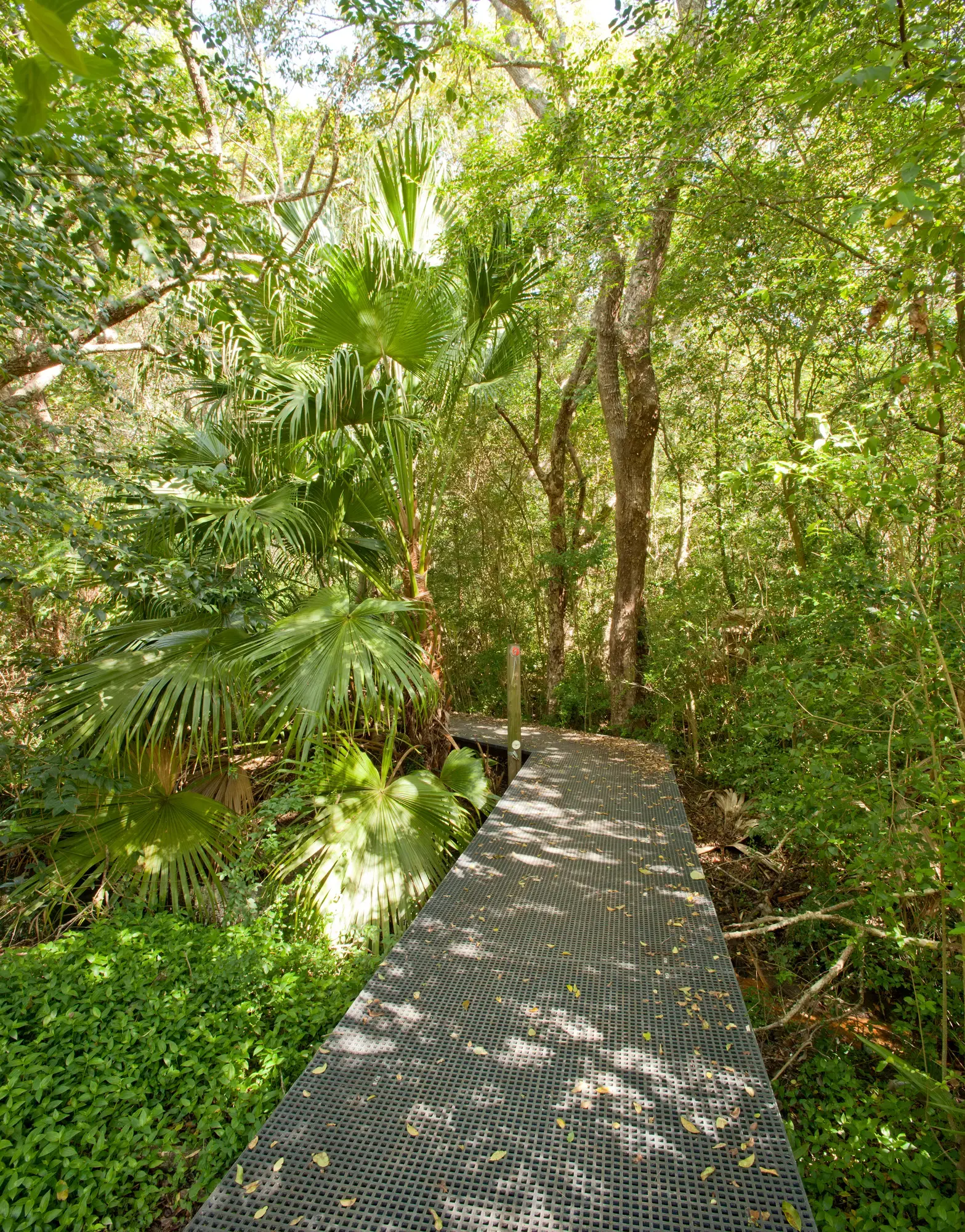 FORGE_Ryde_River_Walk_006