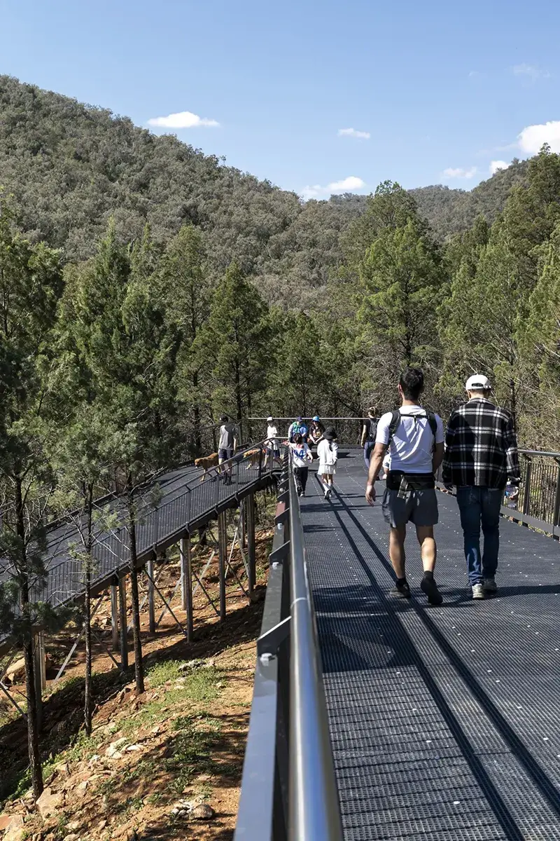 FORGE_Tamworth_Skywalk_23