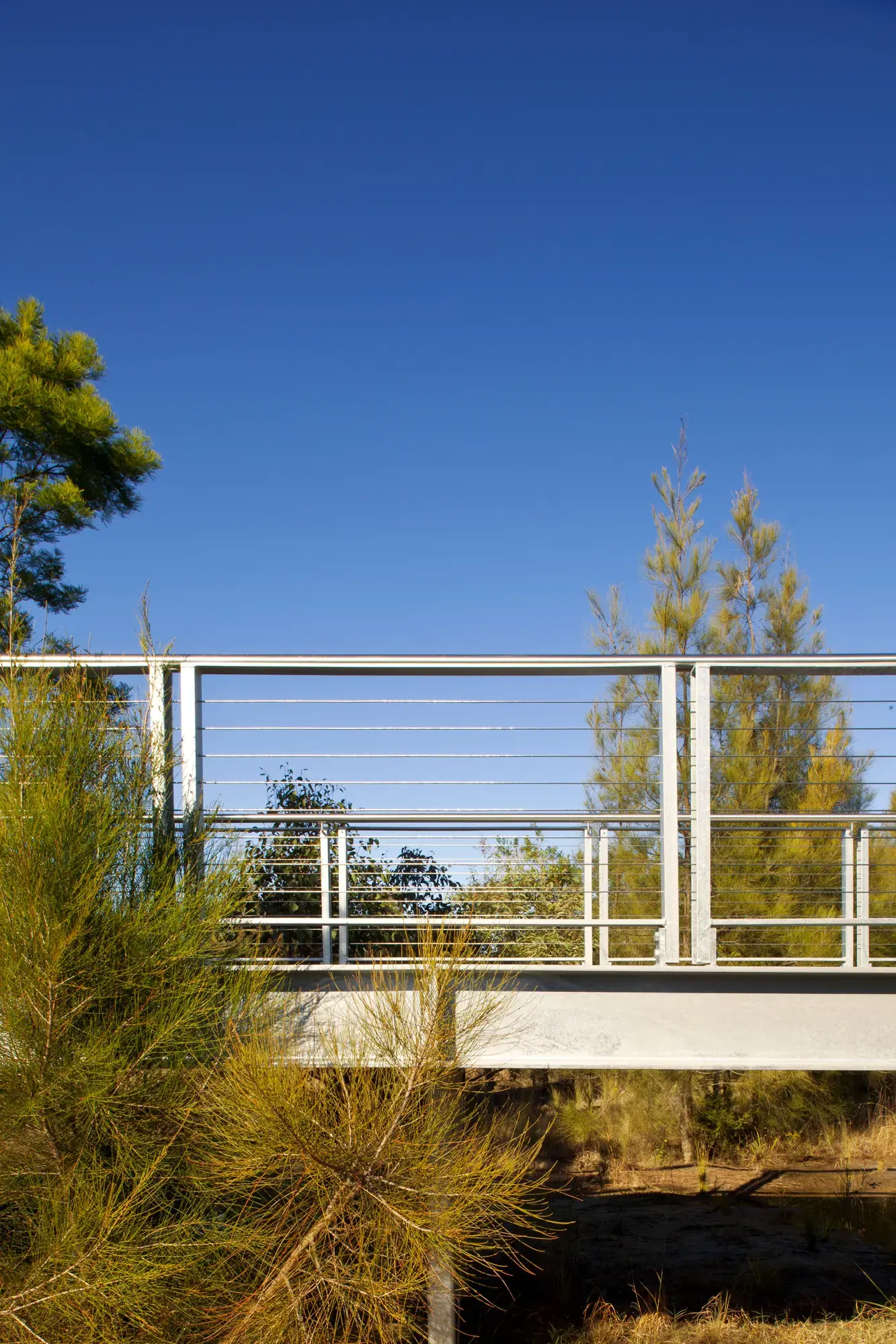 FORGE_The_Ponds_Parklands_06