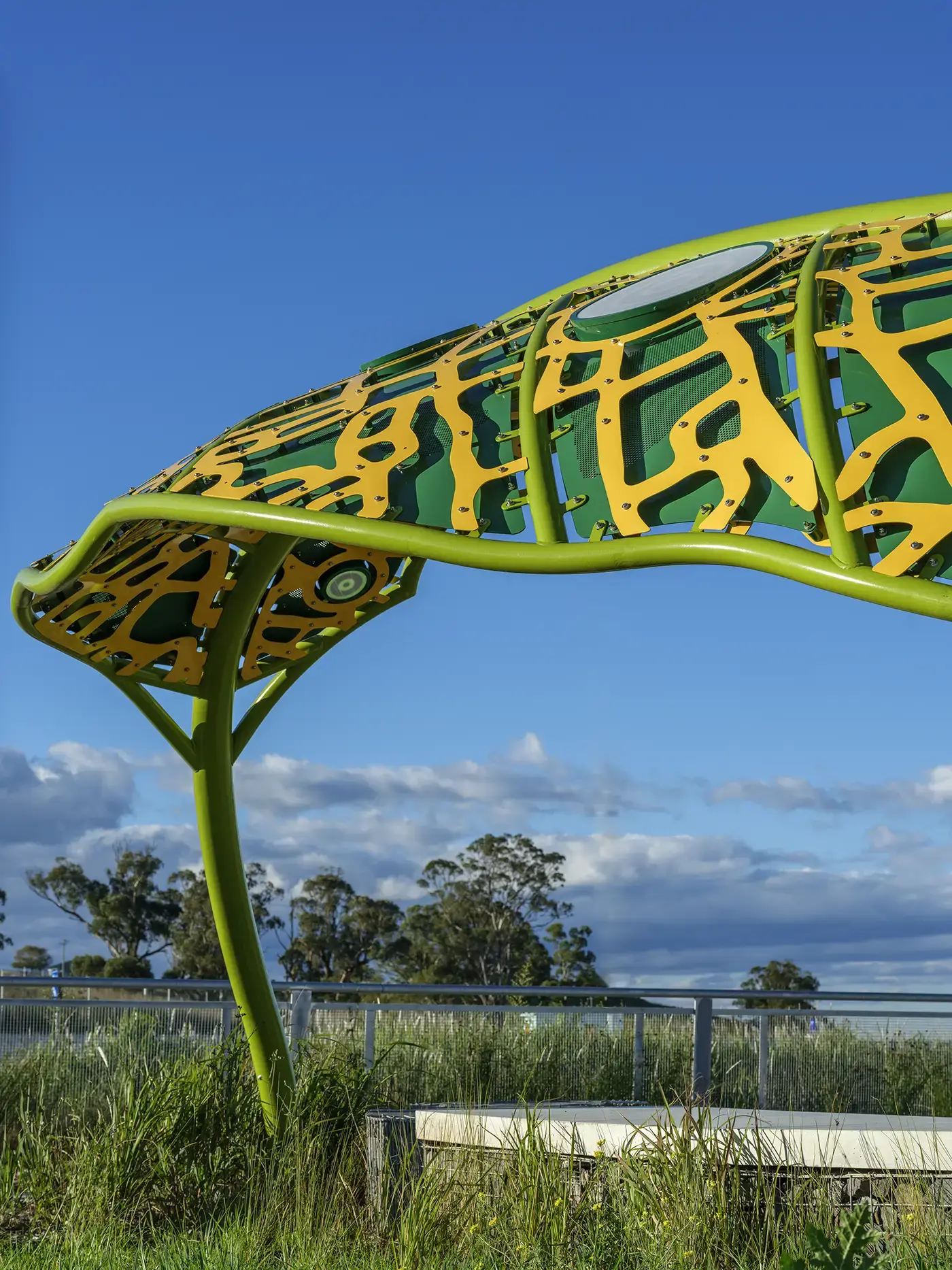 M12_Eucalypt_Canopies_08