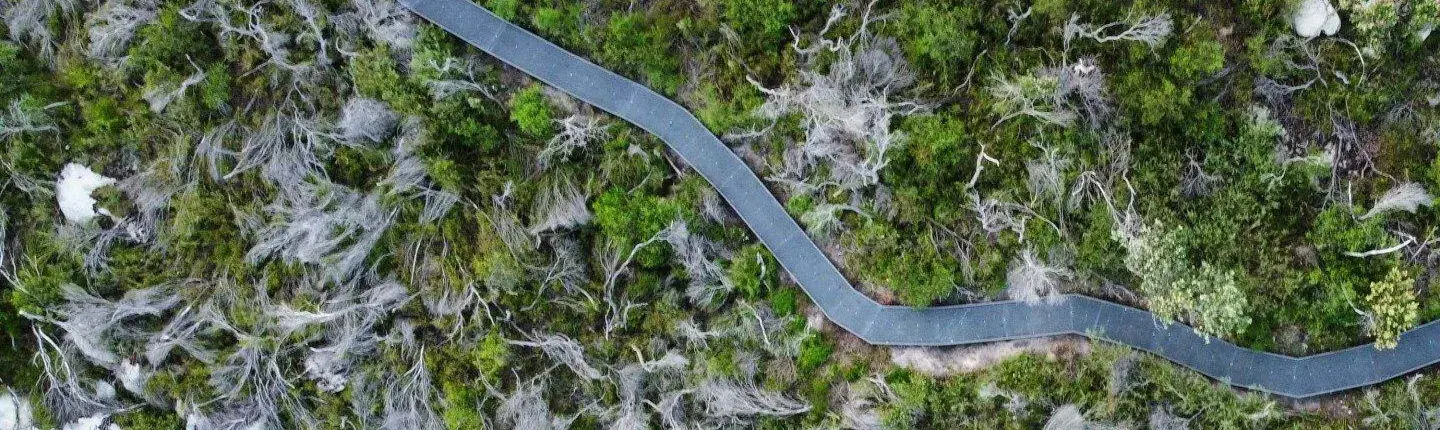 forge-nsw-dobroyd-head-walking-track