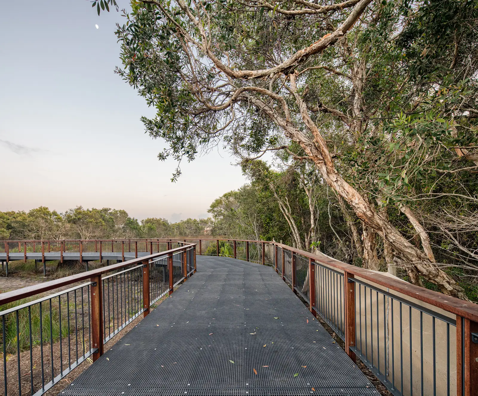 FORGE-Bokarina-Beach-Wetland-003