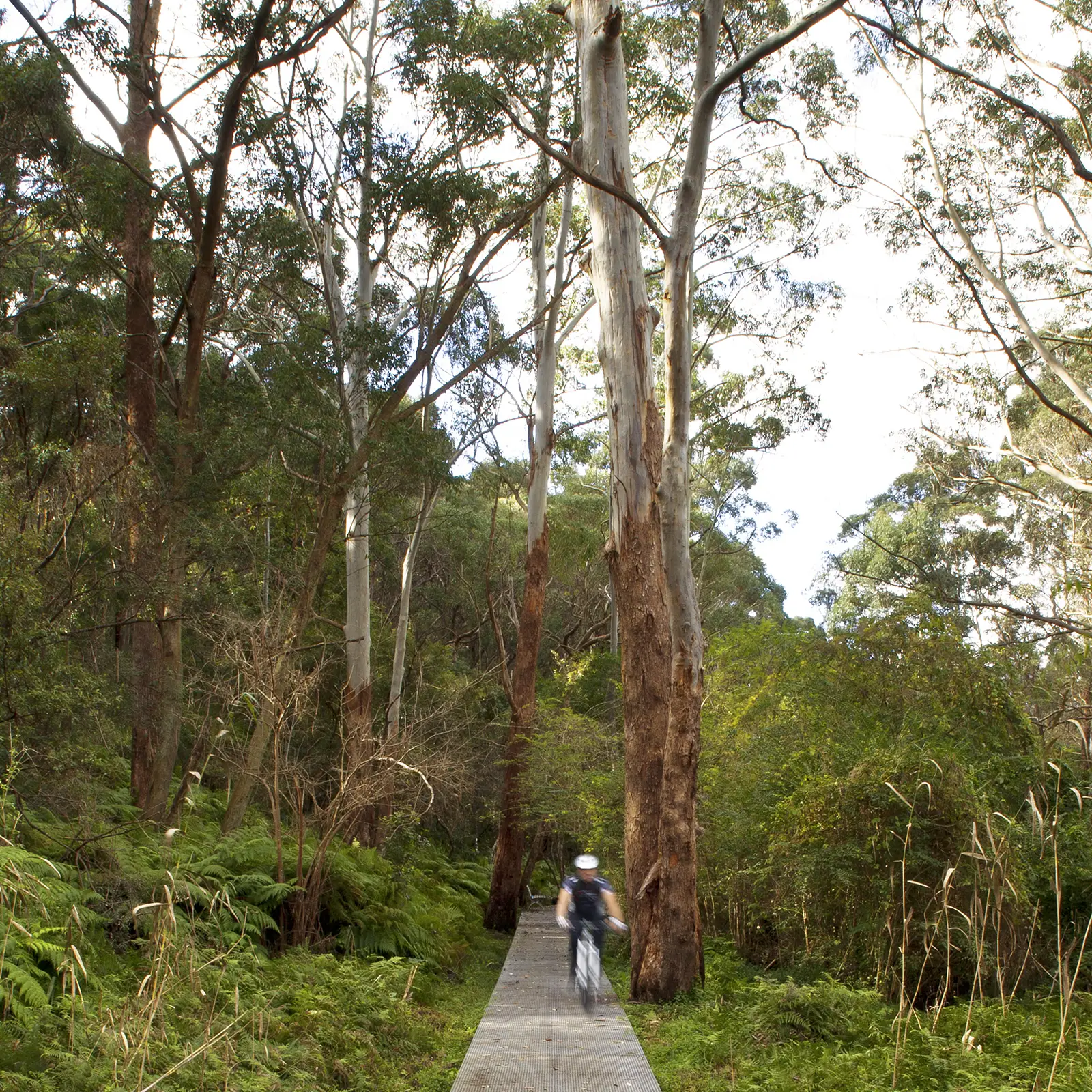 FORGE-Field-Of-Mars-01