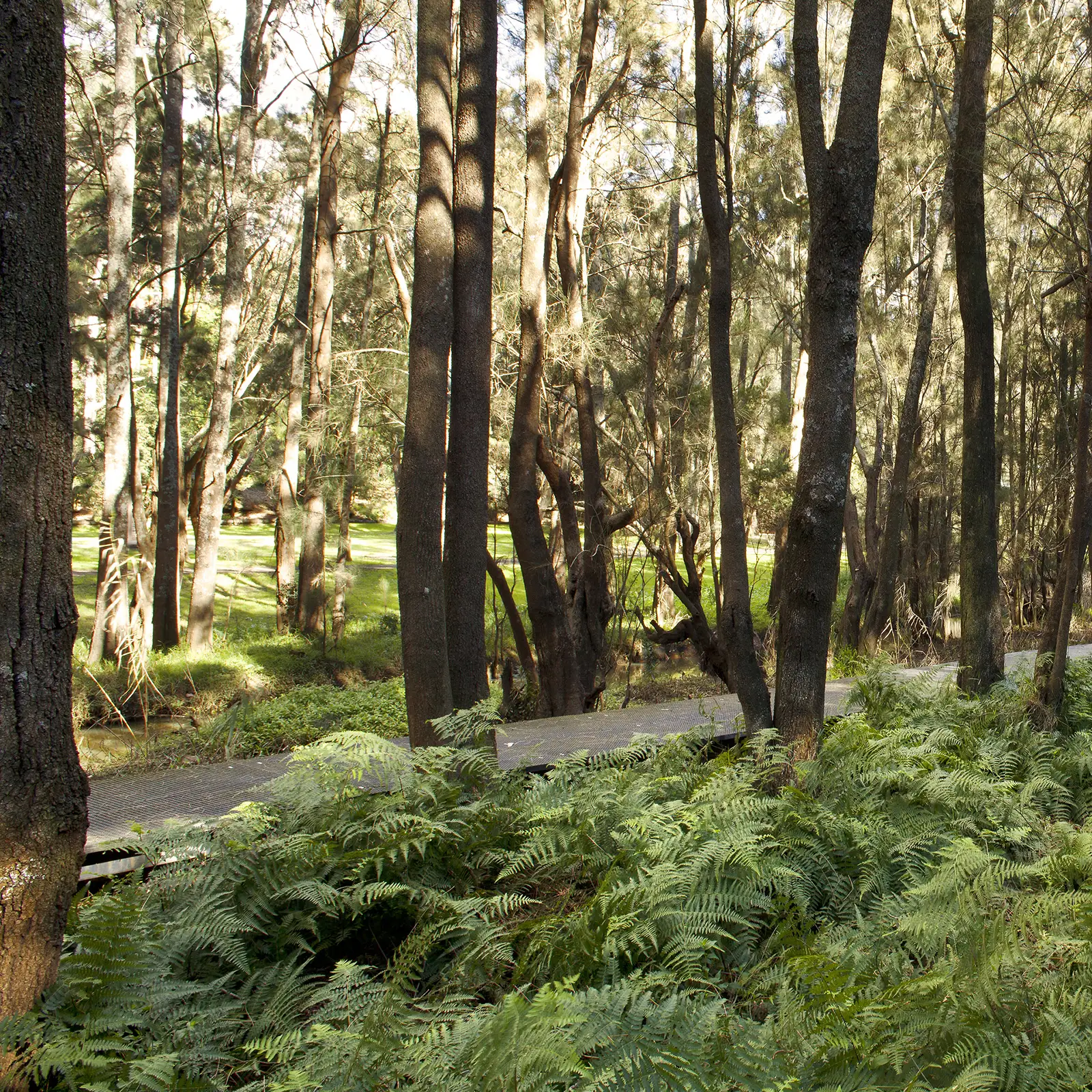 FORGE-Field-Of-Mars-02