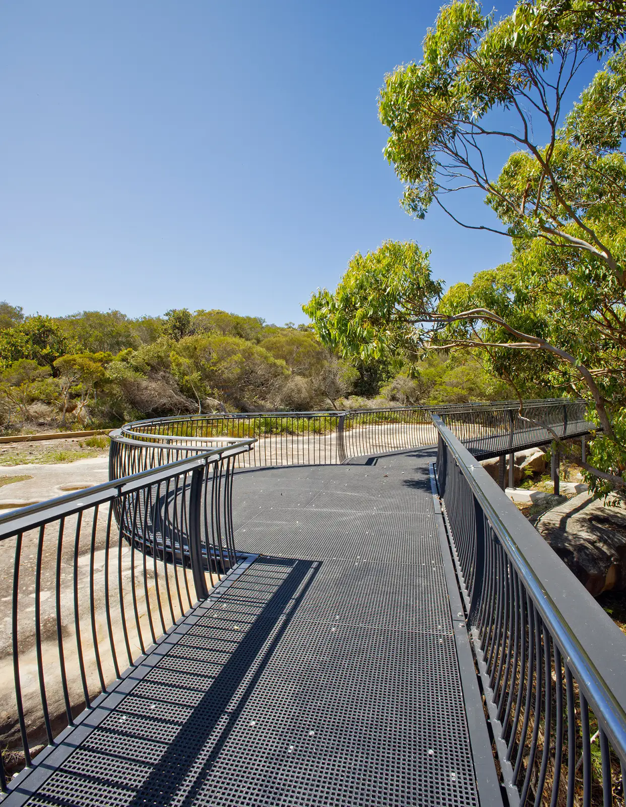 FORGE-Jibbon-Head-004