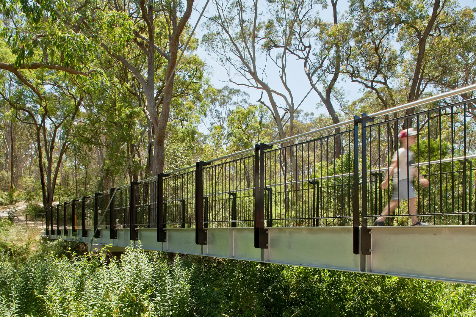 FORGE-Smalls-Creek-White-Gum-002