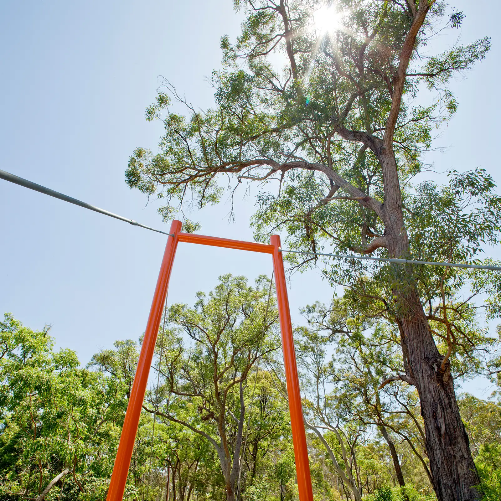 FORGE-Smalls-Creek-White-Gum-008